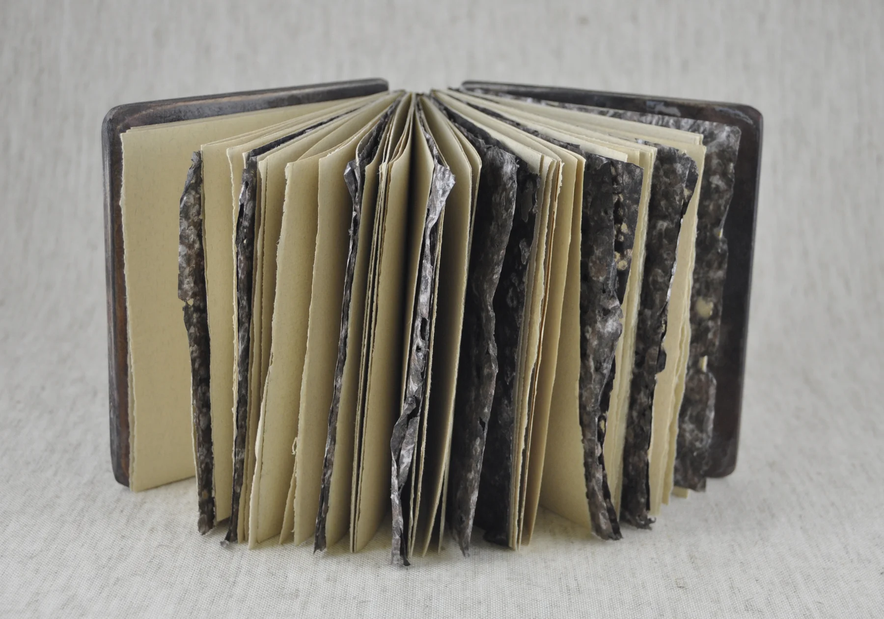 brown spray pulp_large 2011.jpg