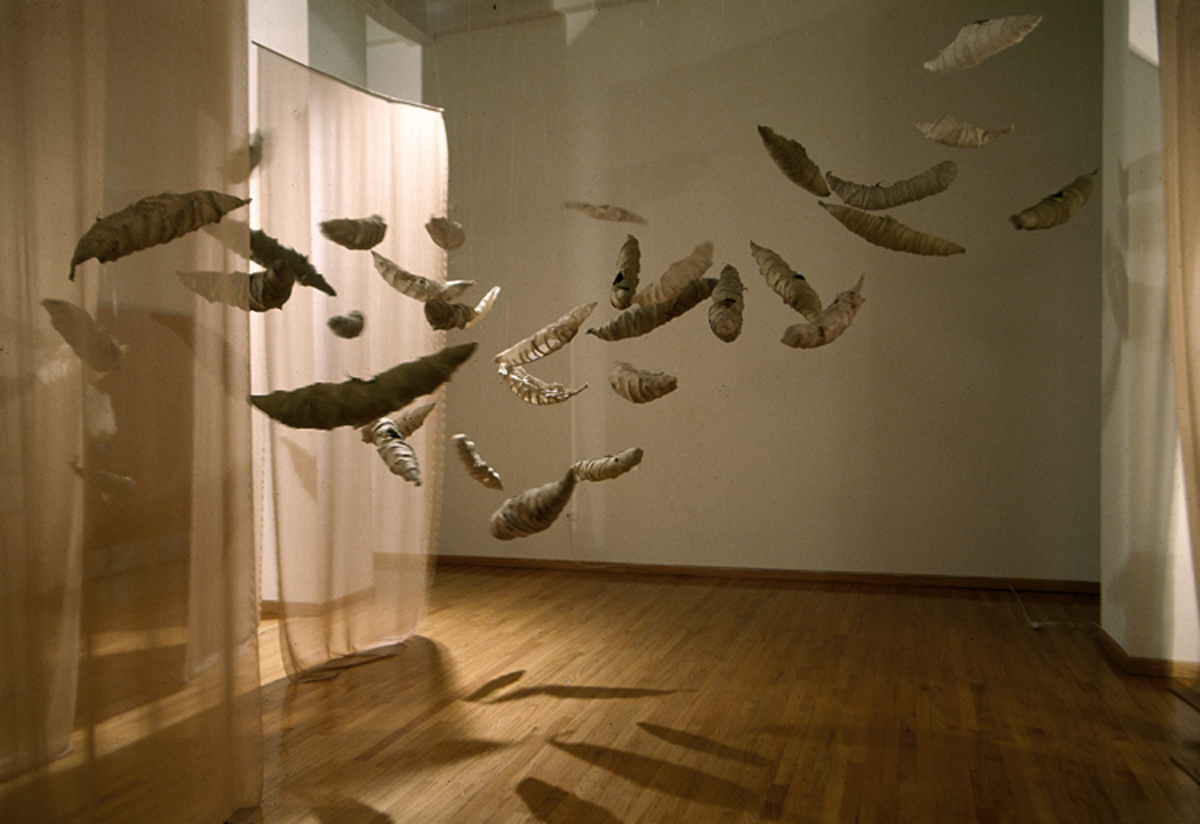 Signatures, MFA Thesis Exhibition, Columbia College Chicago, IL, 2006