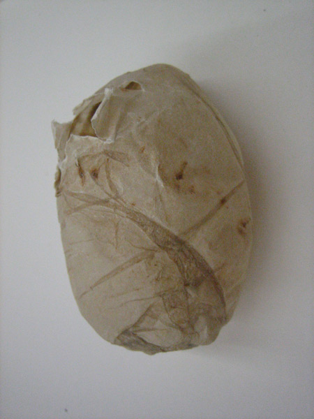 small-pods_experiments5.jpg