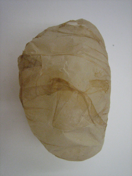 small-pods_experiments3.jpg