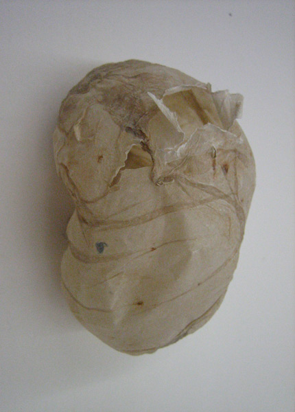 small-pods_experiments6.jpg