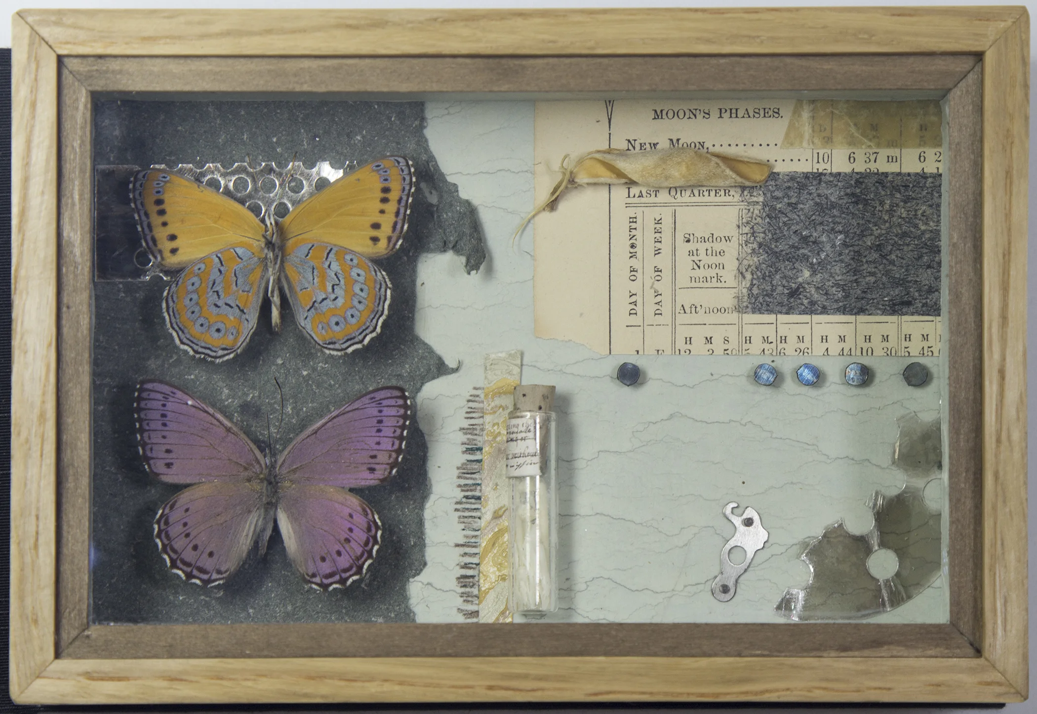 r_alpers_specimen series_XX_detail.jpg