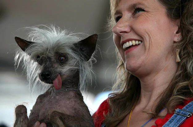 That would be 119 in human years ... but only be 70 years on Mercury.JUNE 26, 2009 — Dawn Goehring of Gatlinburg, Tenn., holds her dog, Miss Ellie, a Chinese Crested Hairless dog, during the 21st annual World’s Ugliest Dog Contest at the Sonoma-Mari…
