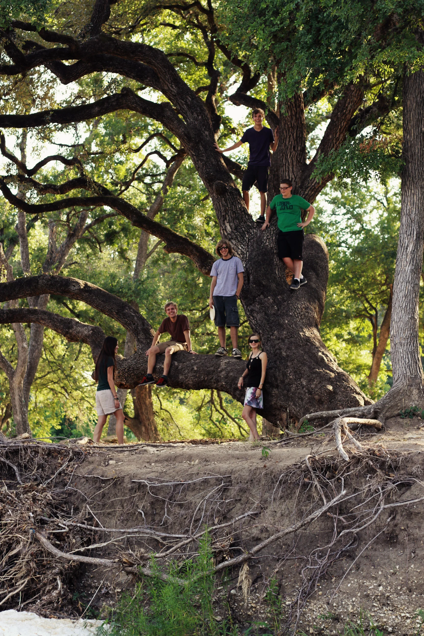 Kids in Tree.jpg