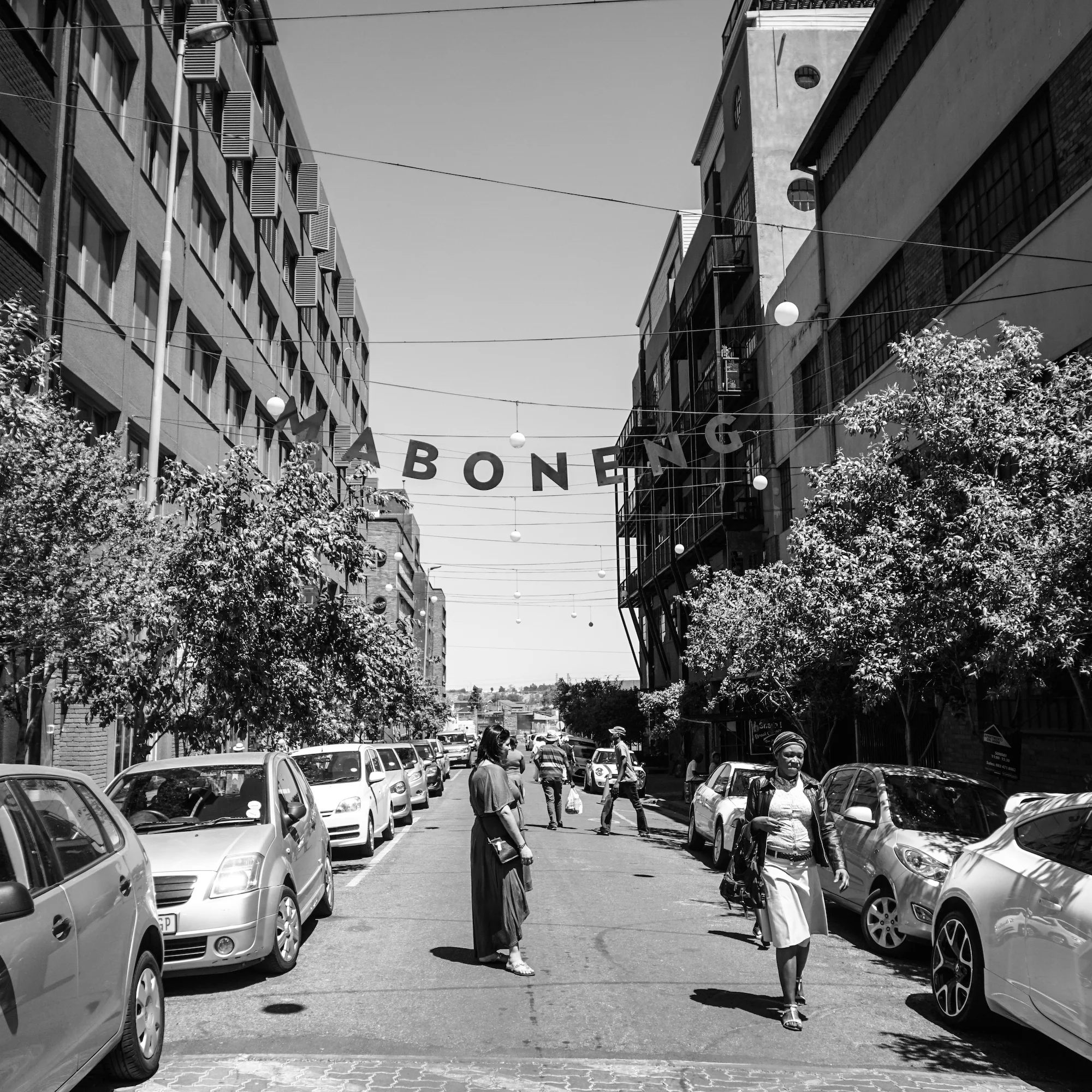 Melements_SOUTH_AFRICA_2014-9.jpg