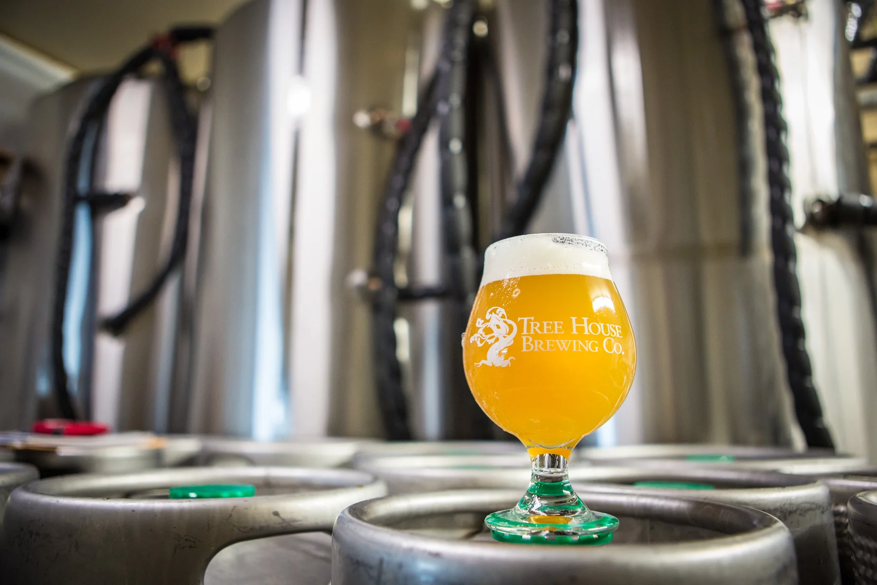 Fresh "Eureka w/Citra" on display in the re-located brewery!