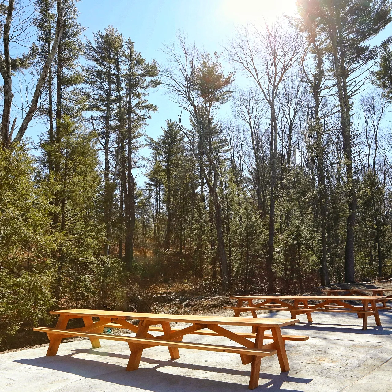New Sunset Patio - More spaces like this will be built this summer.