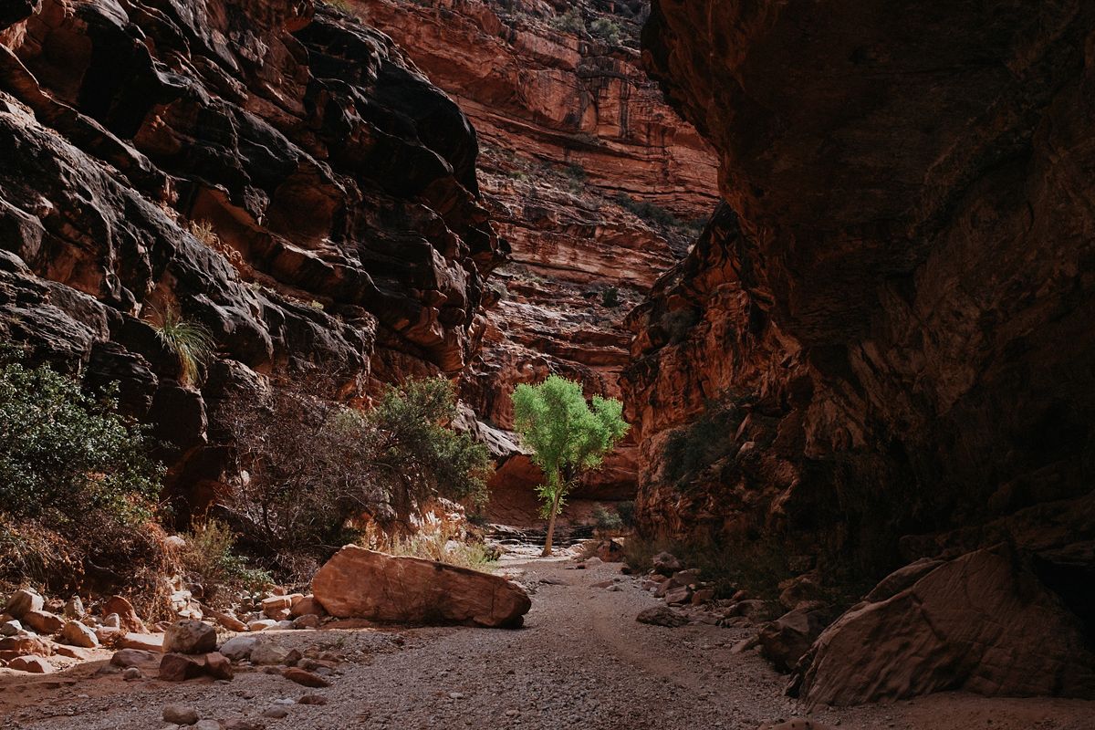havasu falls engagement