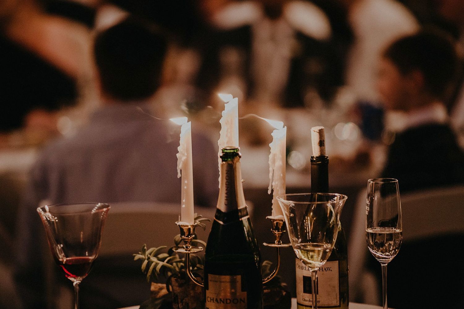 asheville north carolina wedding