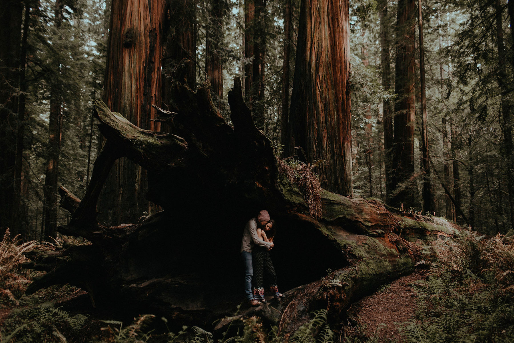 redwoods engagement
