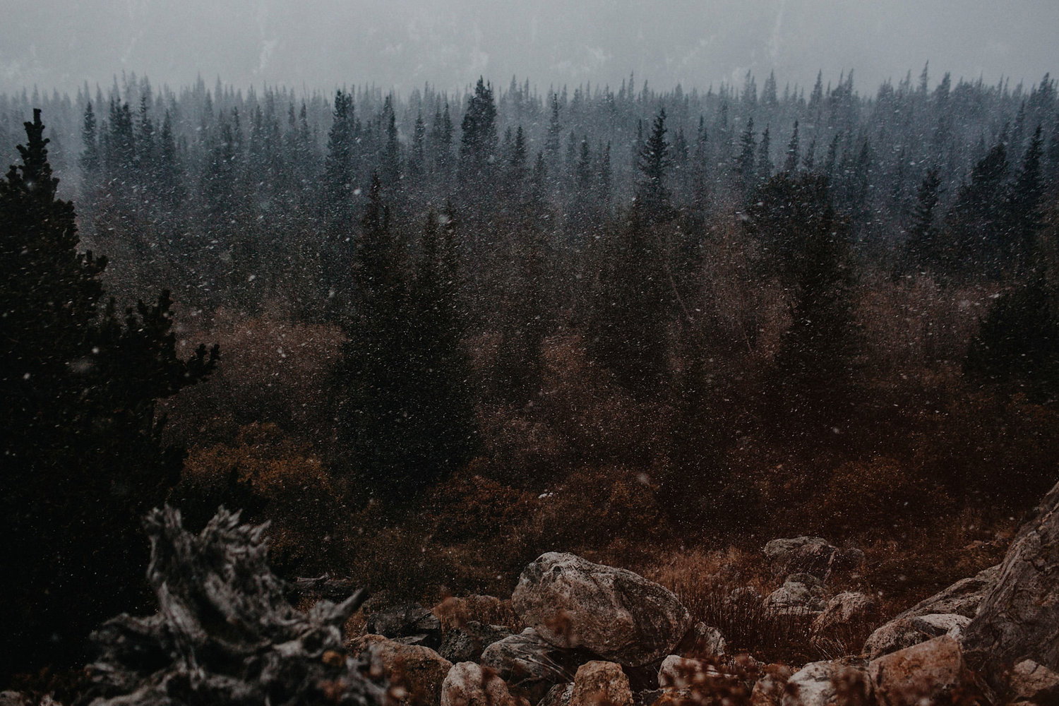 rocky mountain engagement