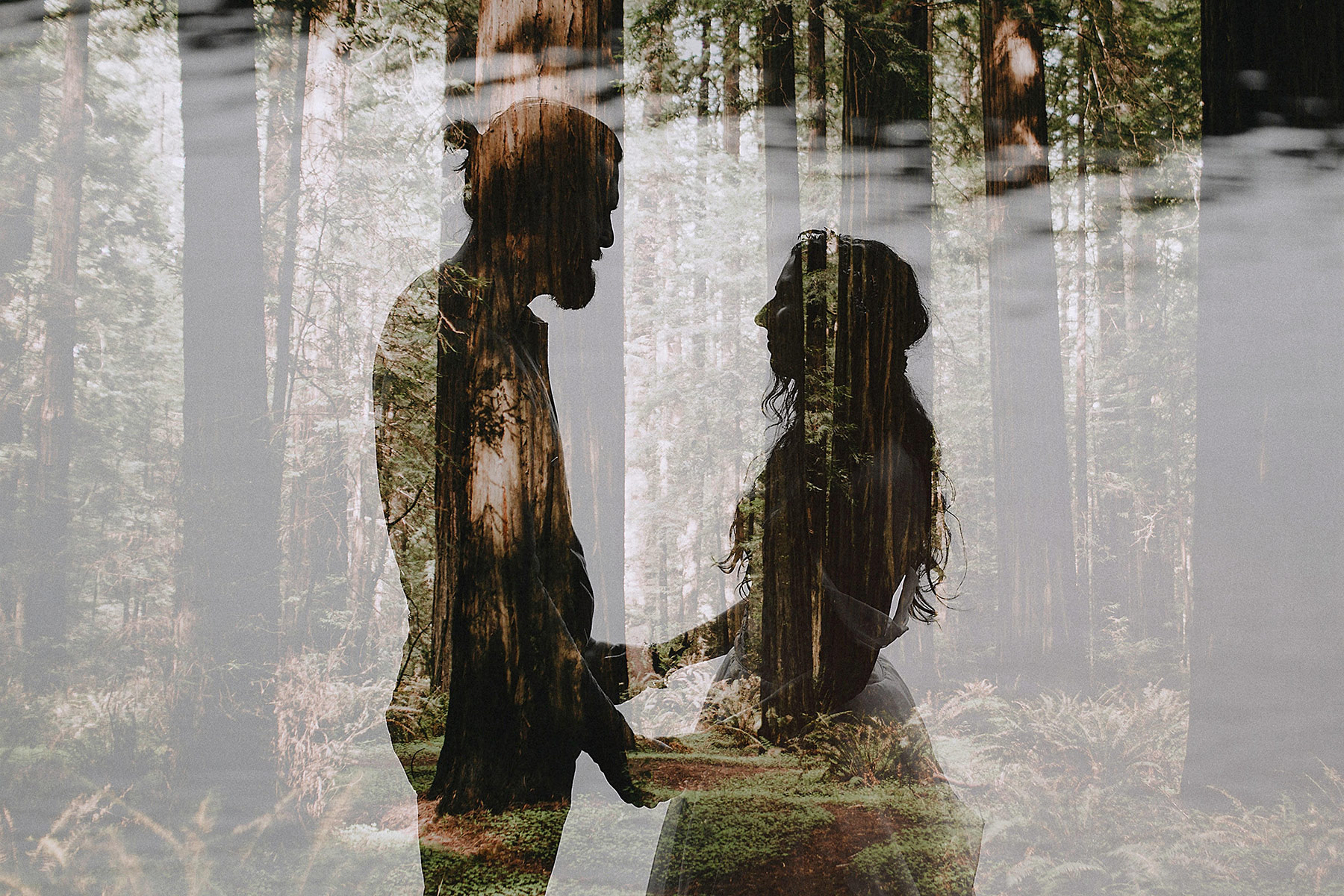 redwoods elopement
