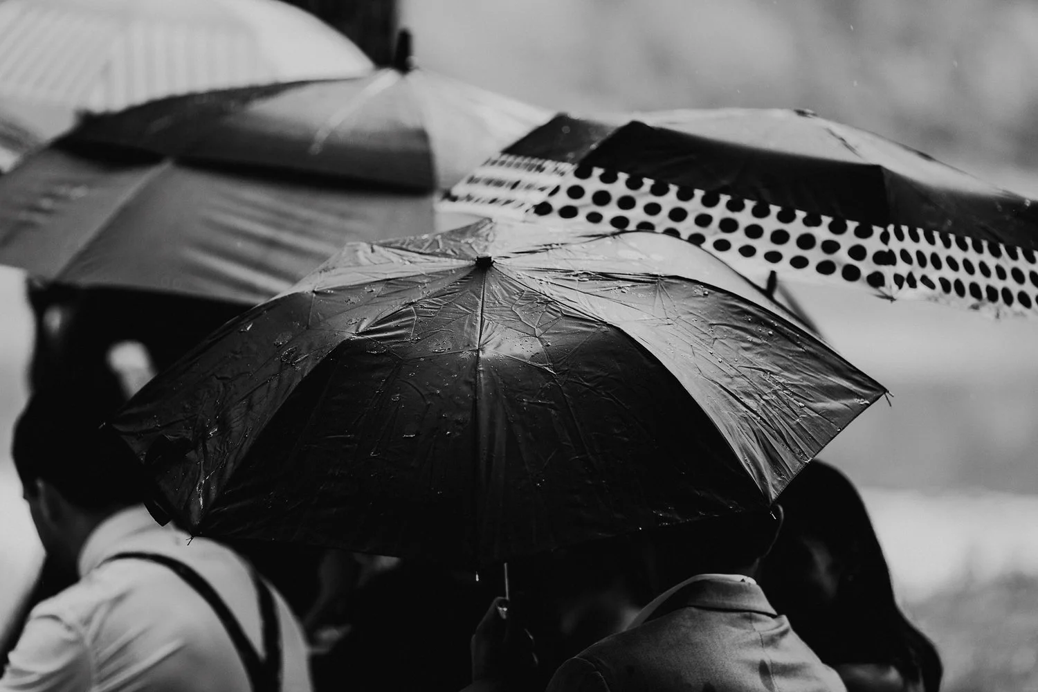 wedding umbrellas