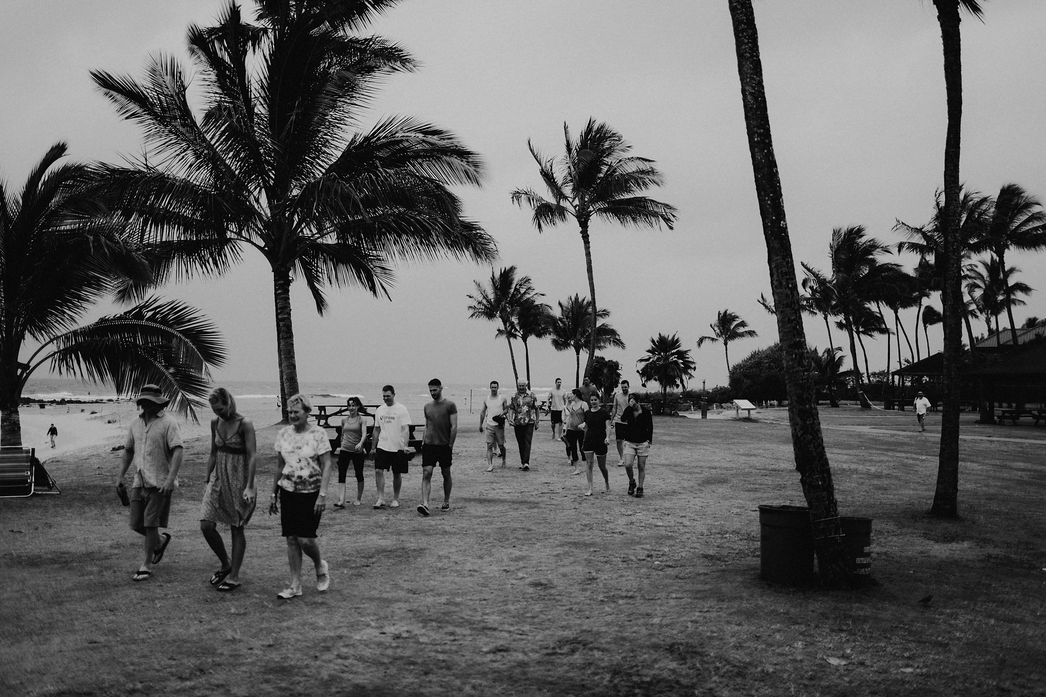 hawaii elopement palm trees photo