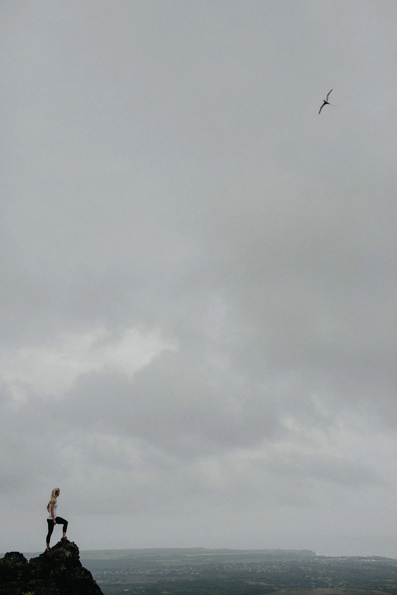 hawaii elopement bride hiking bird photo