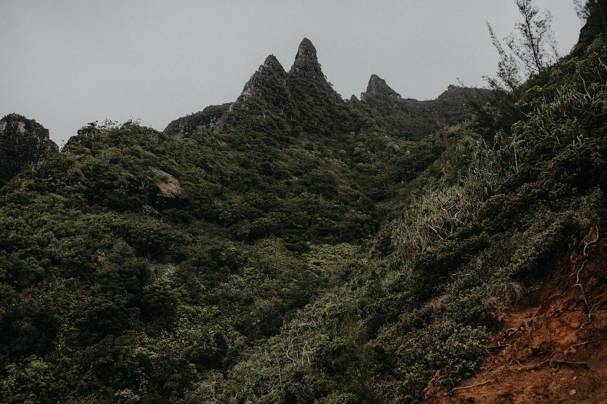 hawaii kauai elopement na pali coast mountains photo