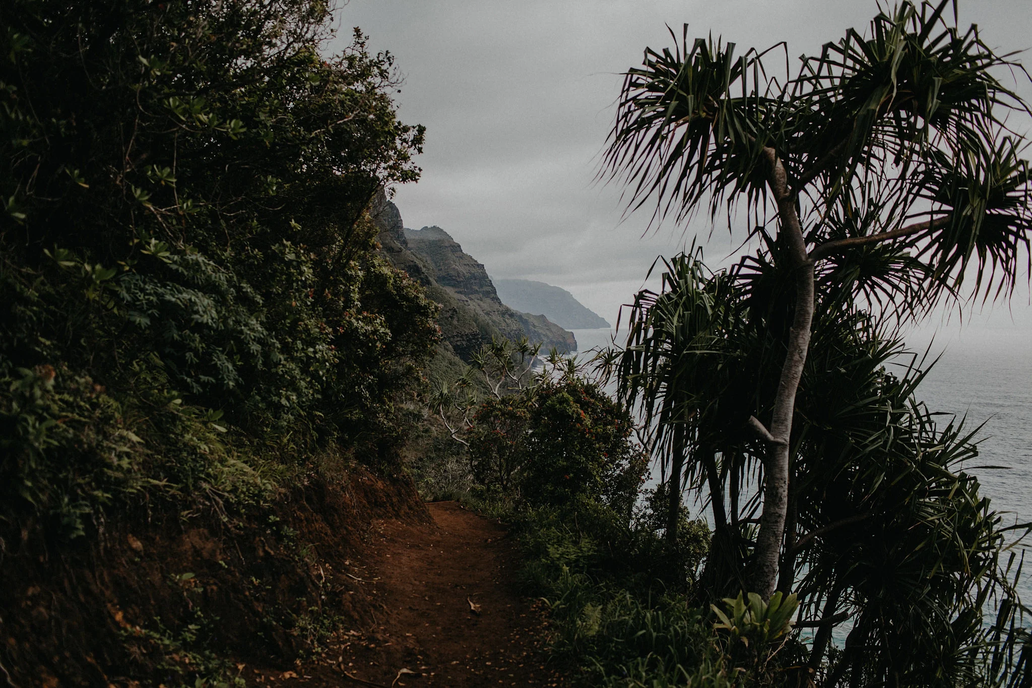 hawaii kauai elopement na pali coast mountain hike path photo