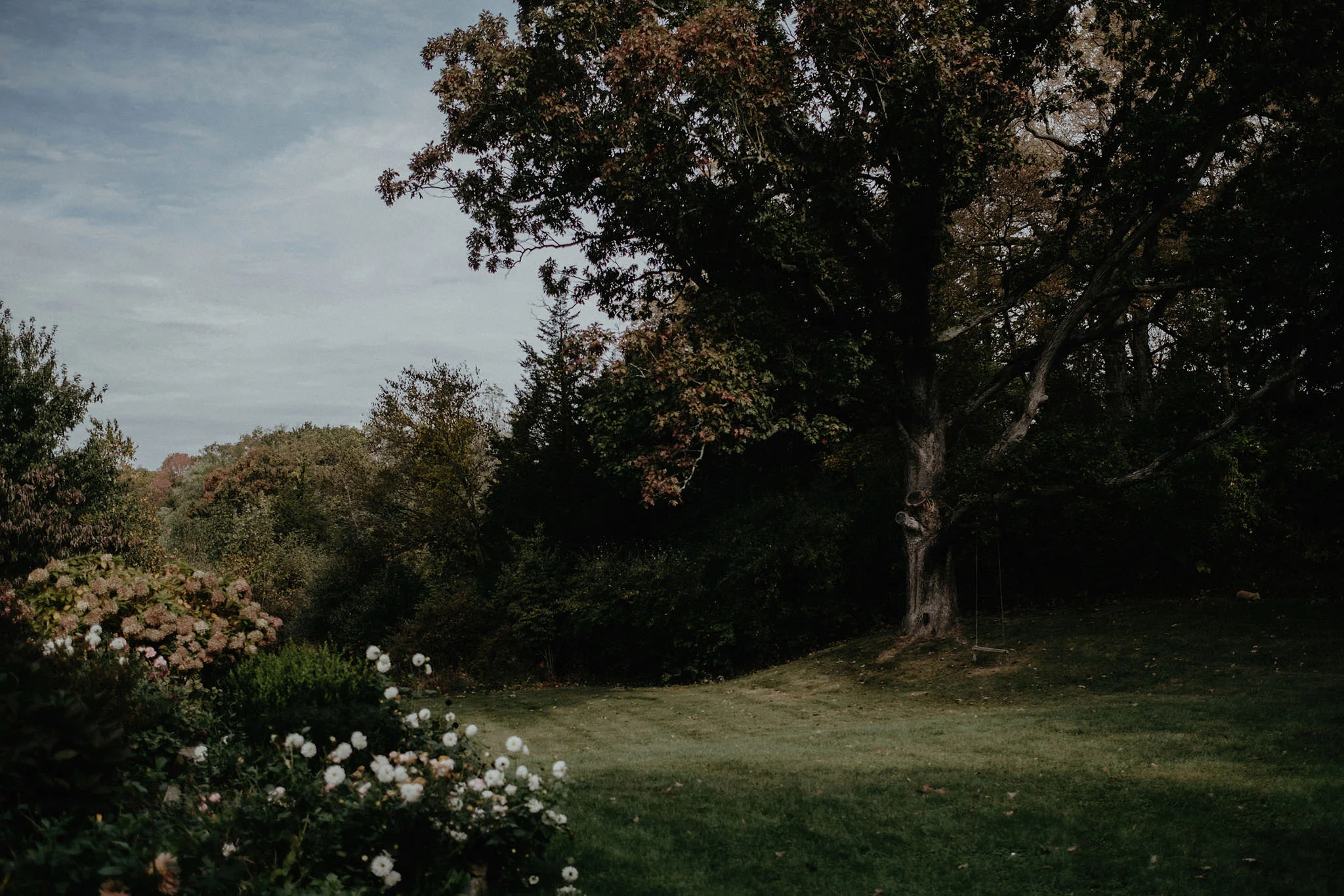 andover new jersey crossed keys estate adventure wedding photographer yard large tree swing