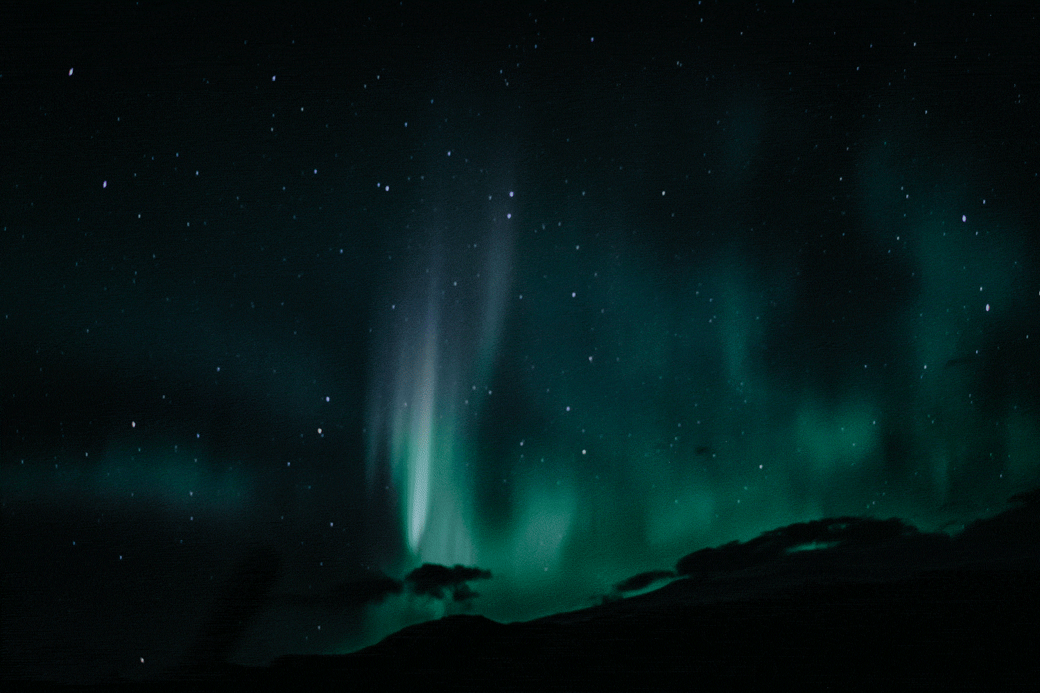 lights.gif