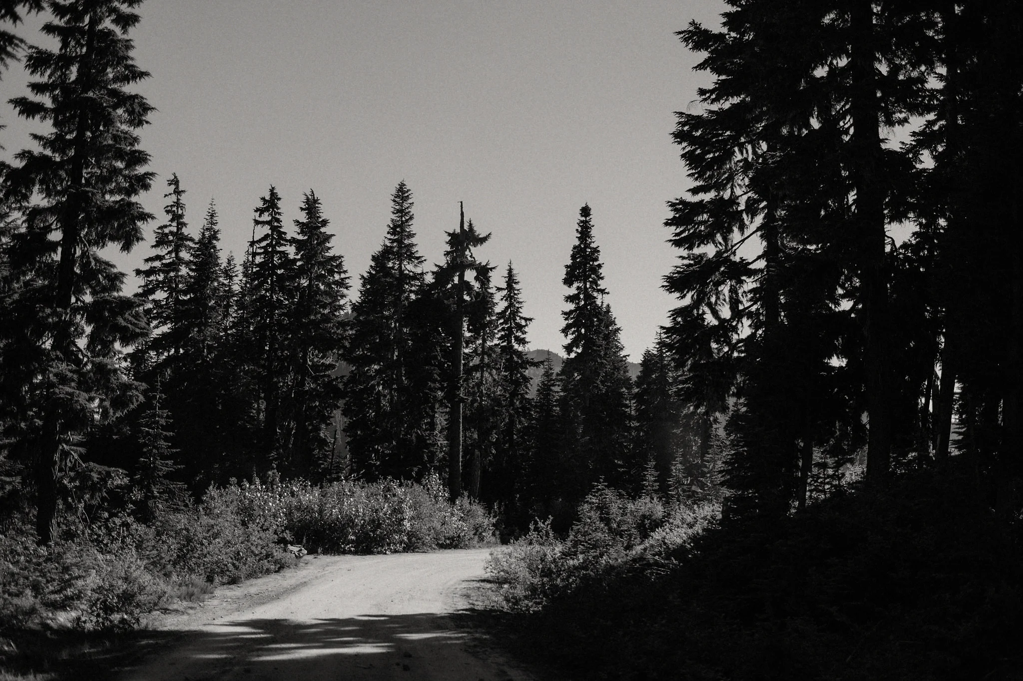 black and white cascade mountains dirt road photo
