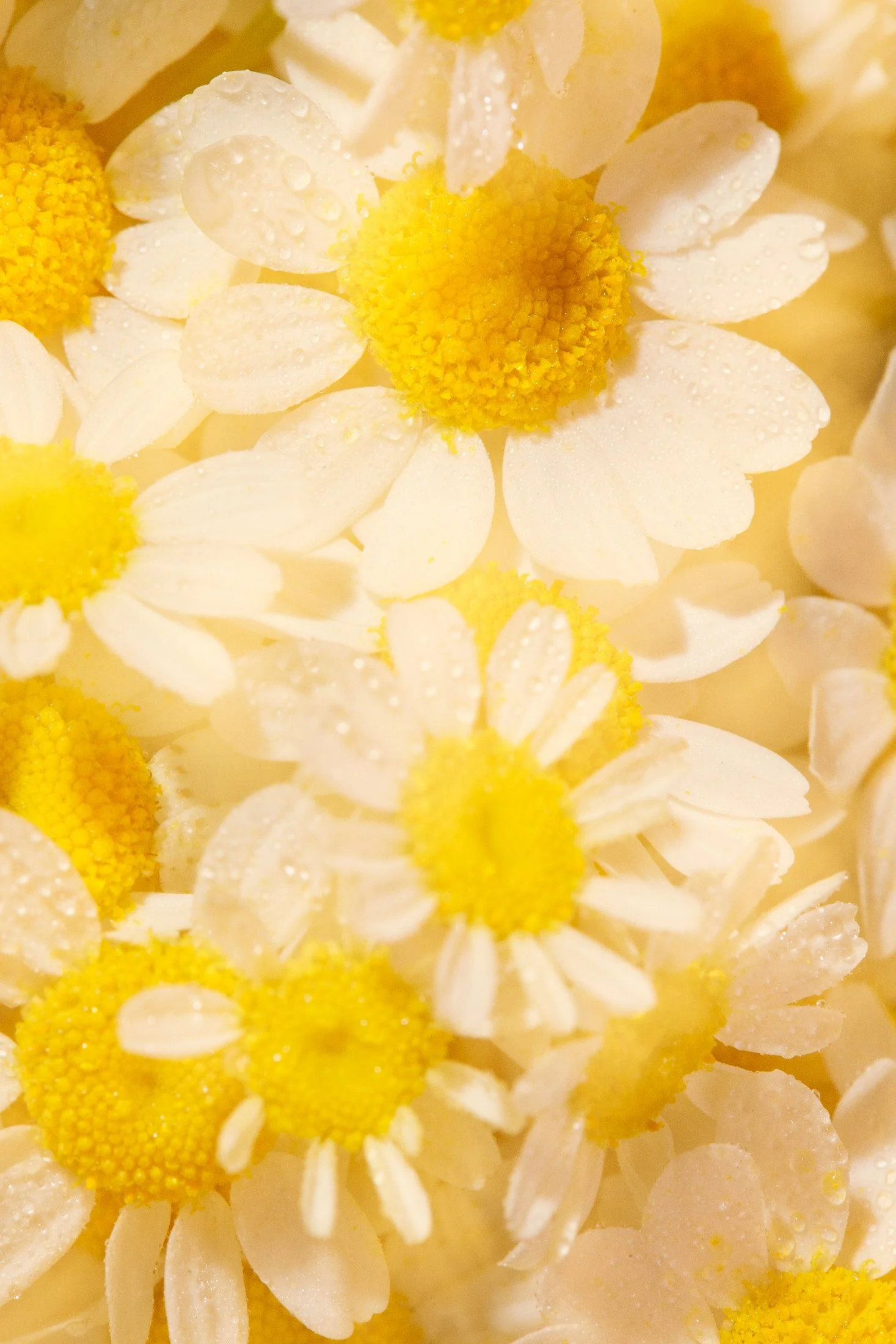 2025_3_23_BeautyTest_3642.jpg