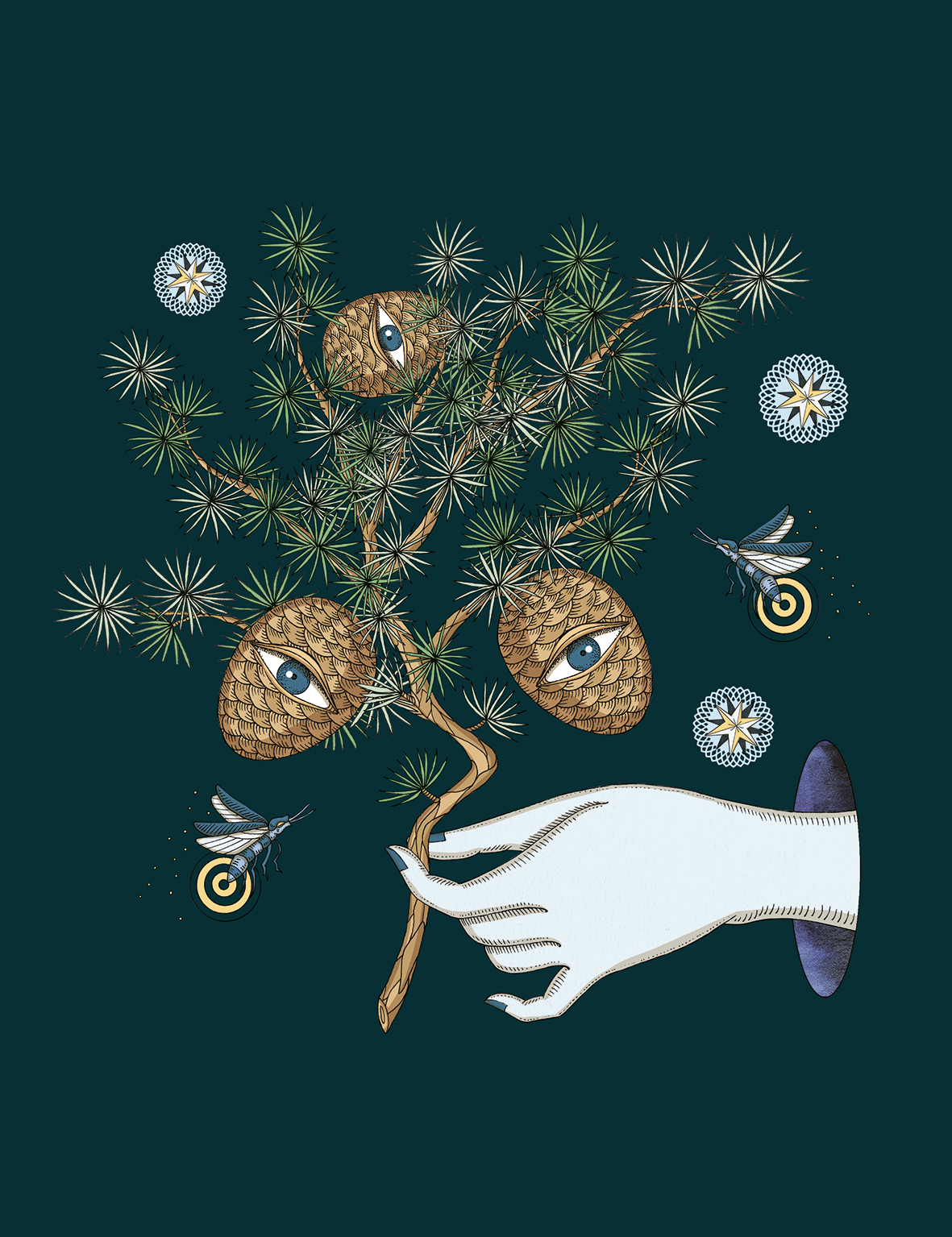 CEDRO_ATLANTICO.png