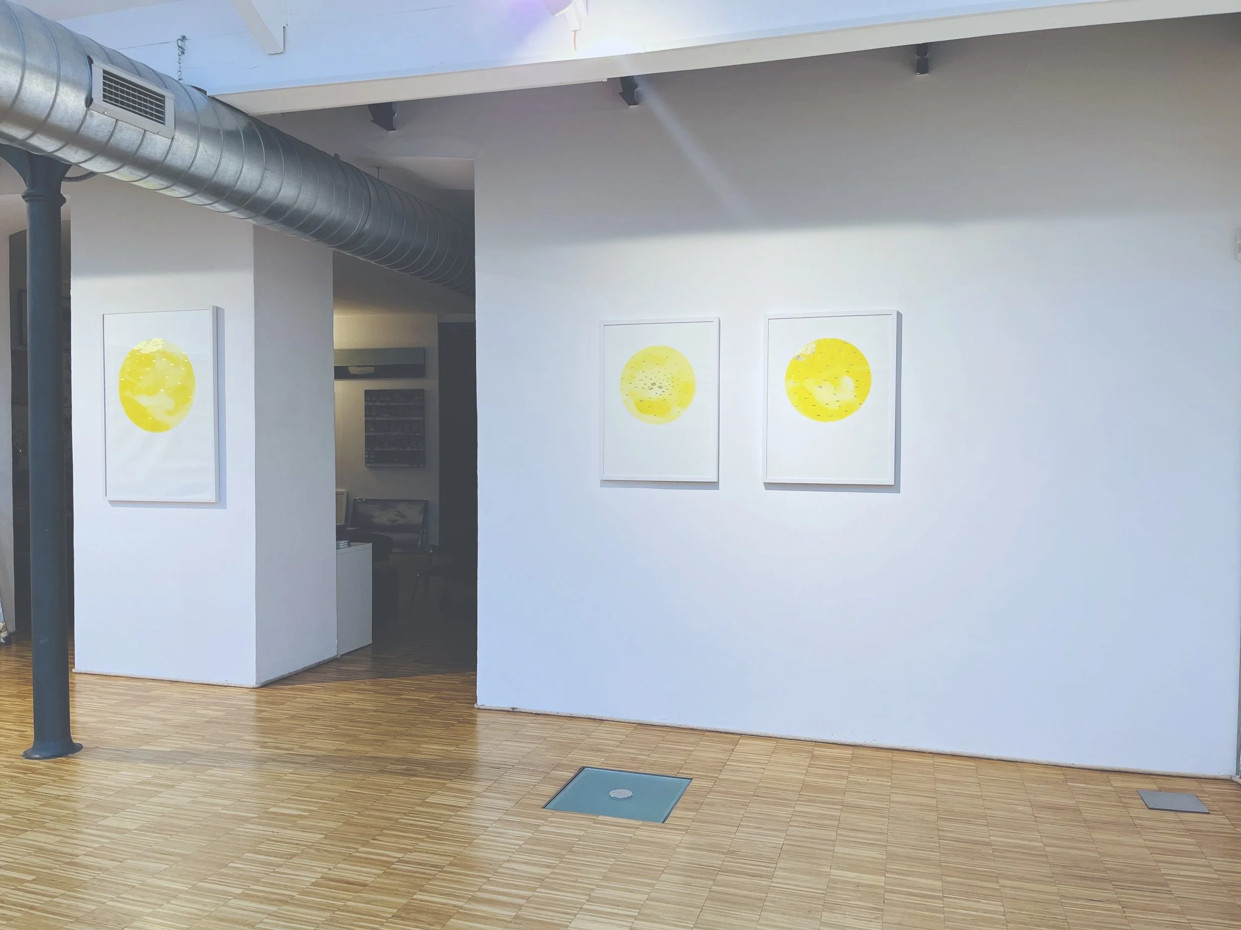 Orogenesi - Allestimento (4).jpeg