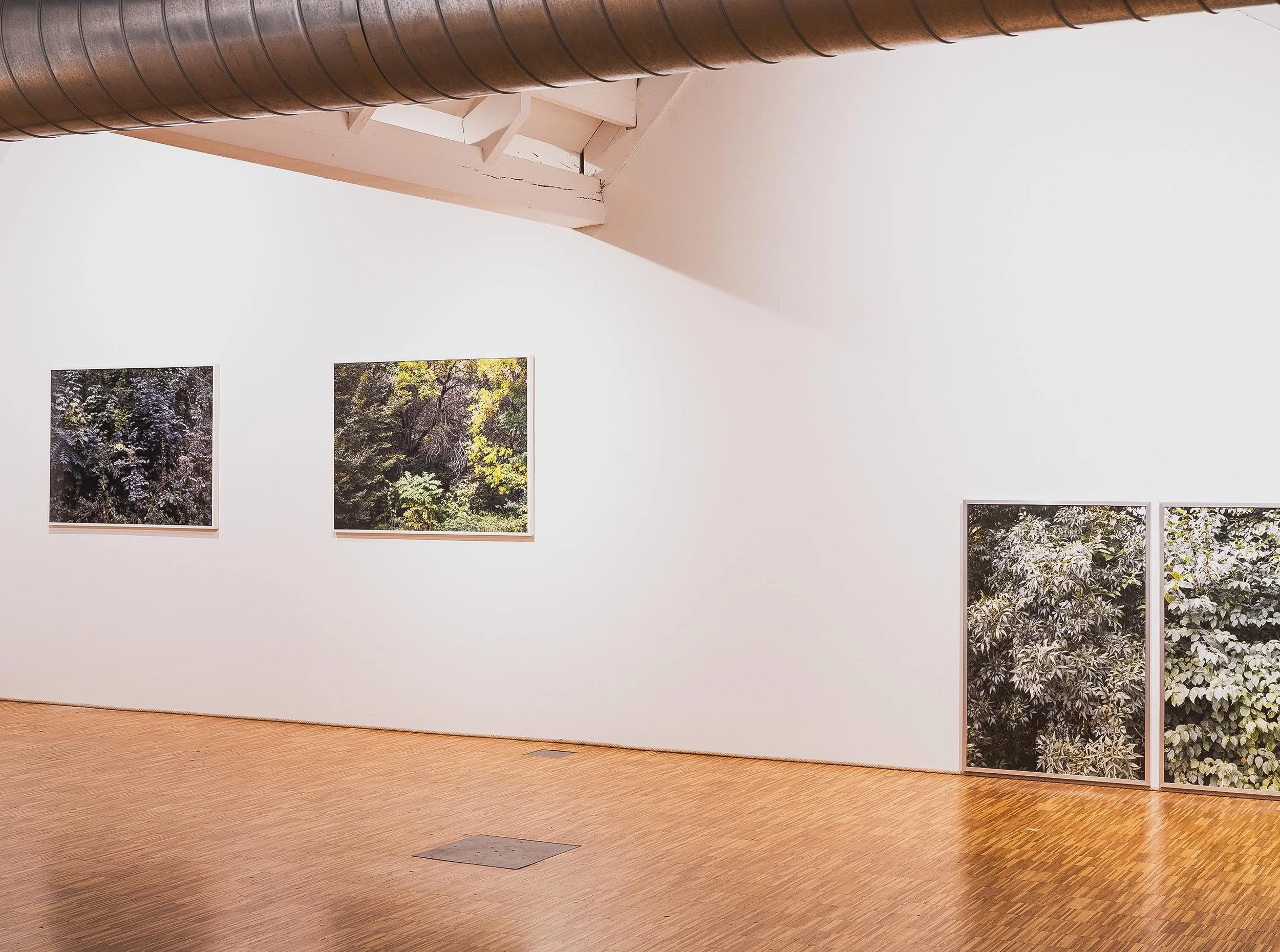 WhatsApp Image 2024-01-22 at 08.50.54.jpeg