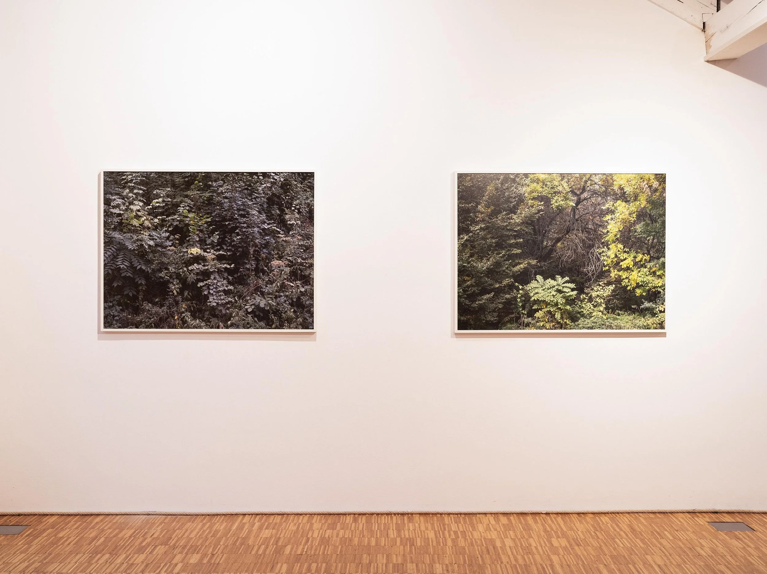 WhatsApp Image 2024-01-22 at 08.50.55 (1).jpeg