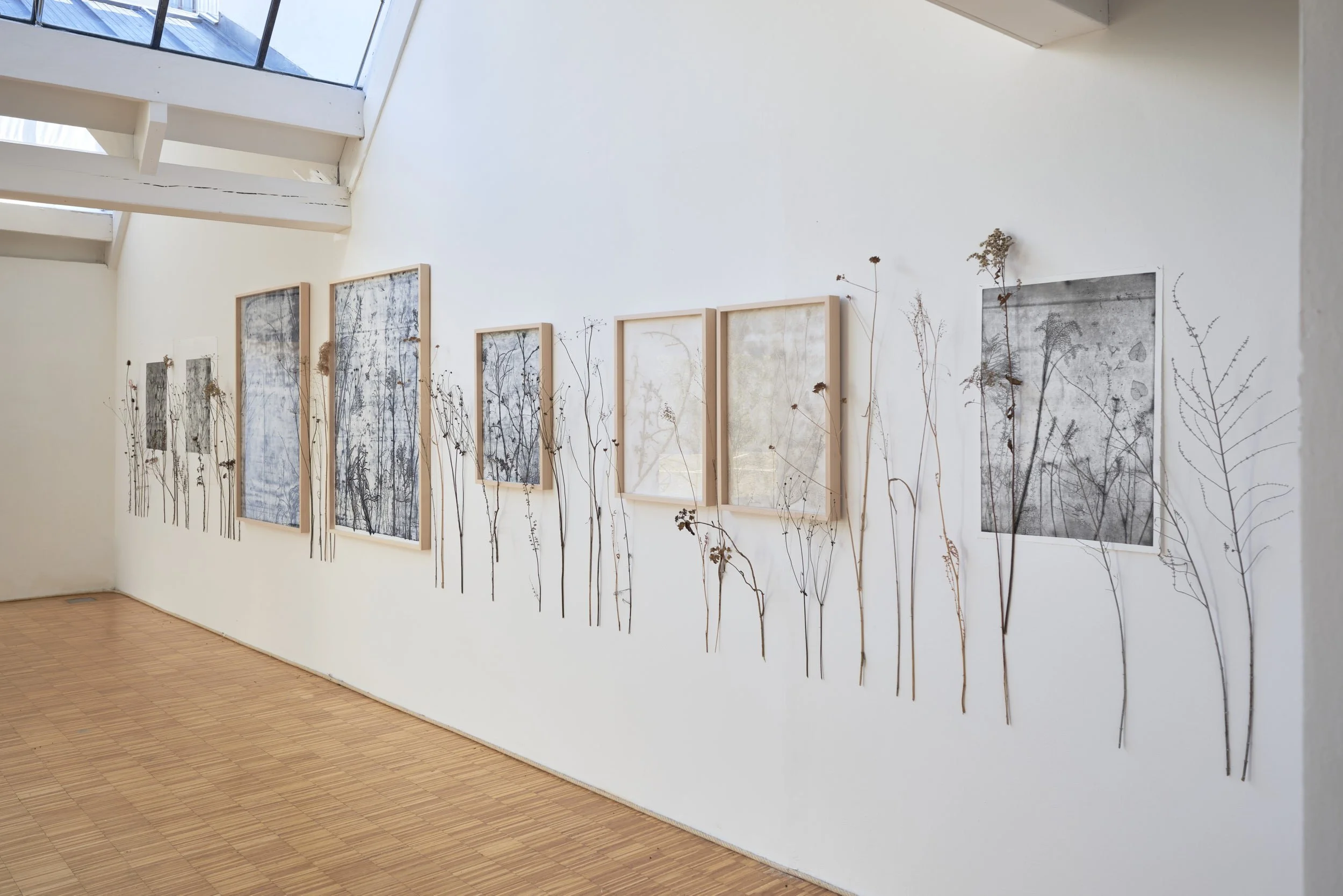 KOMOREBI_mostra 7.jpg