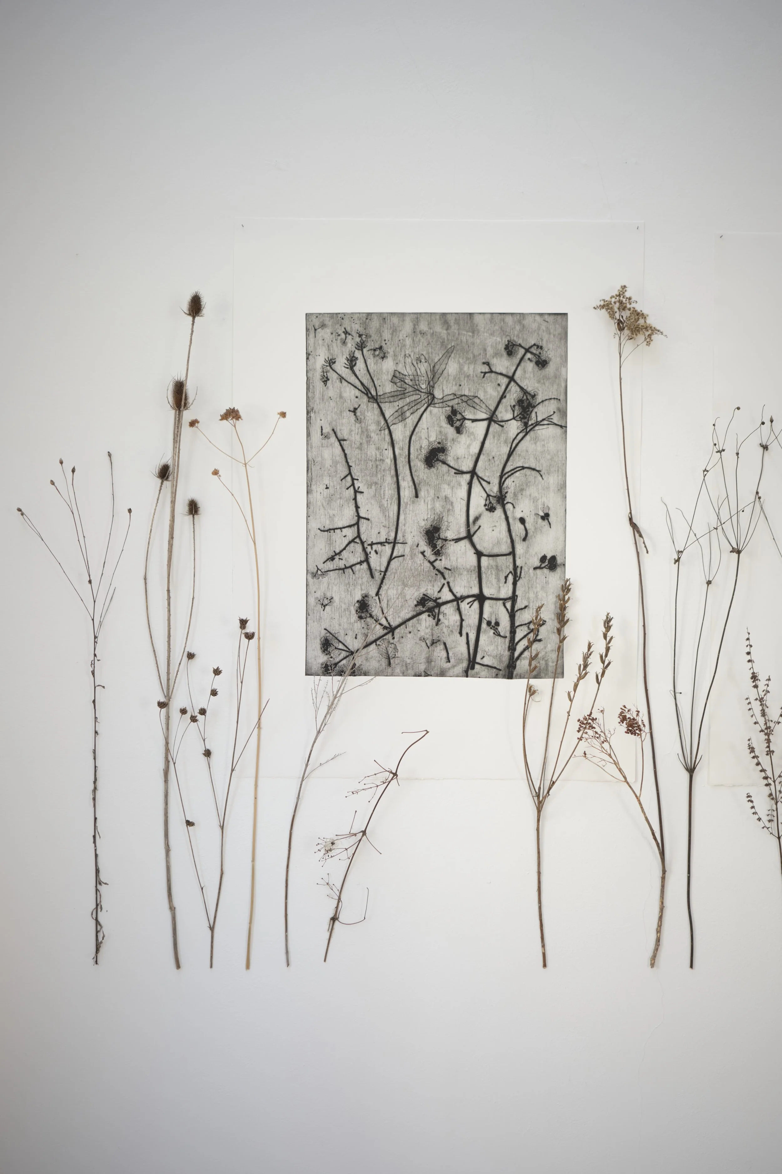 KOMOREBI_mostra 10.jpg