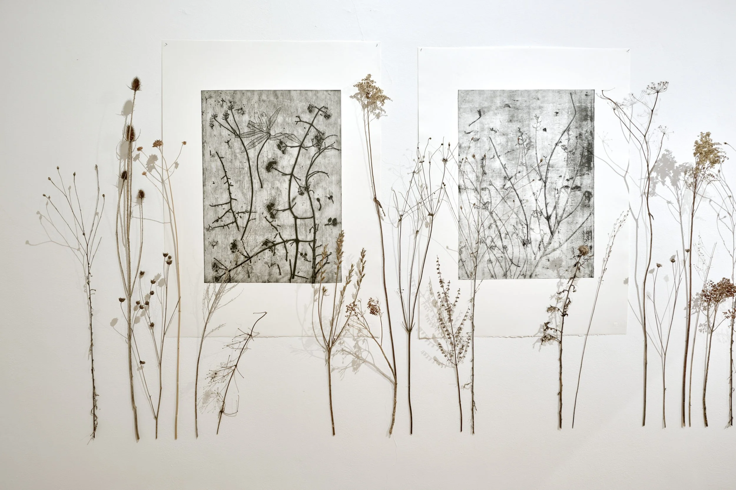 KOMOREBI_mostra 11.jpg