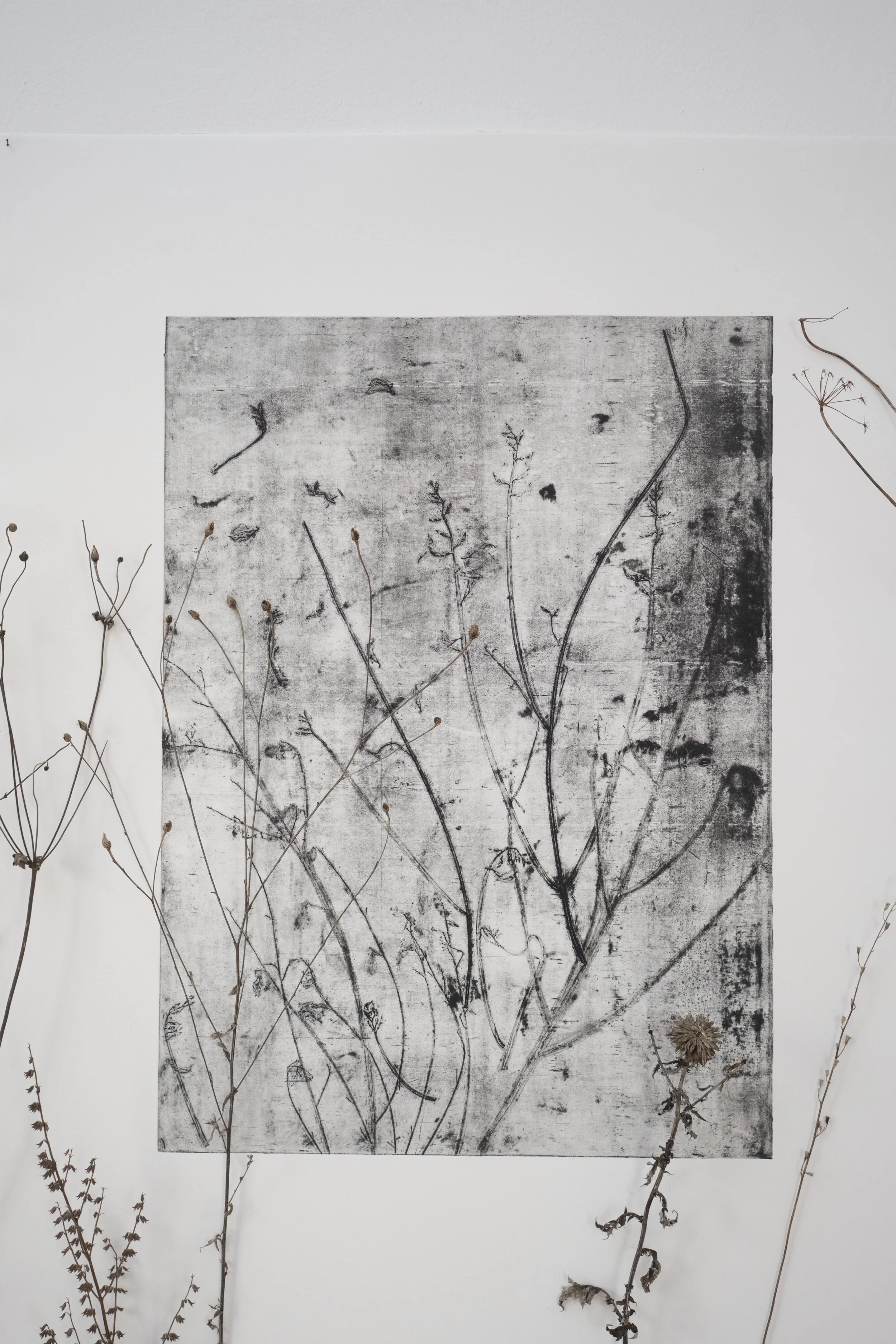 KOMOREBI_mostra 12.jpg