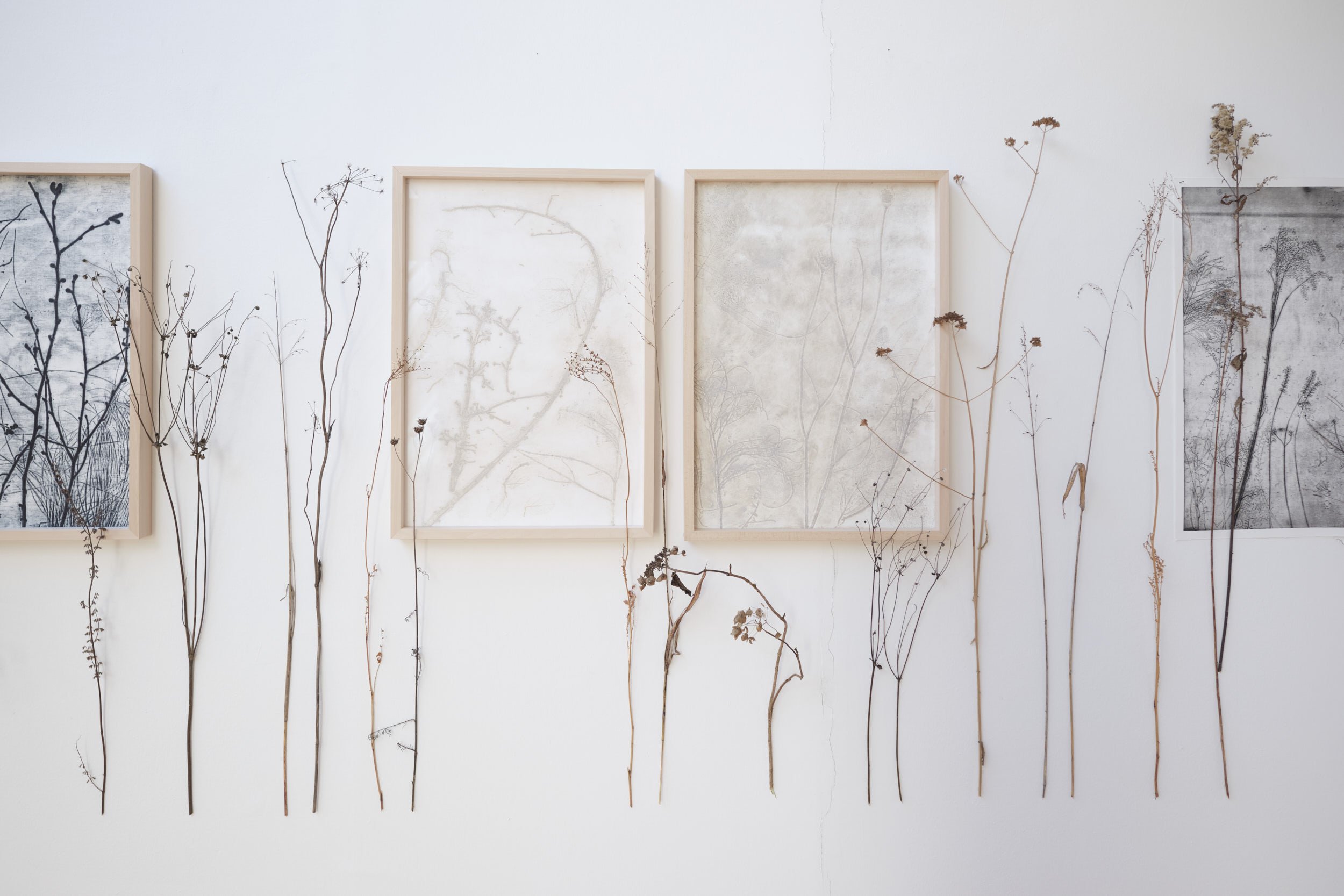 KOMOREBI_mostra 14.jpg