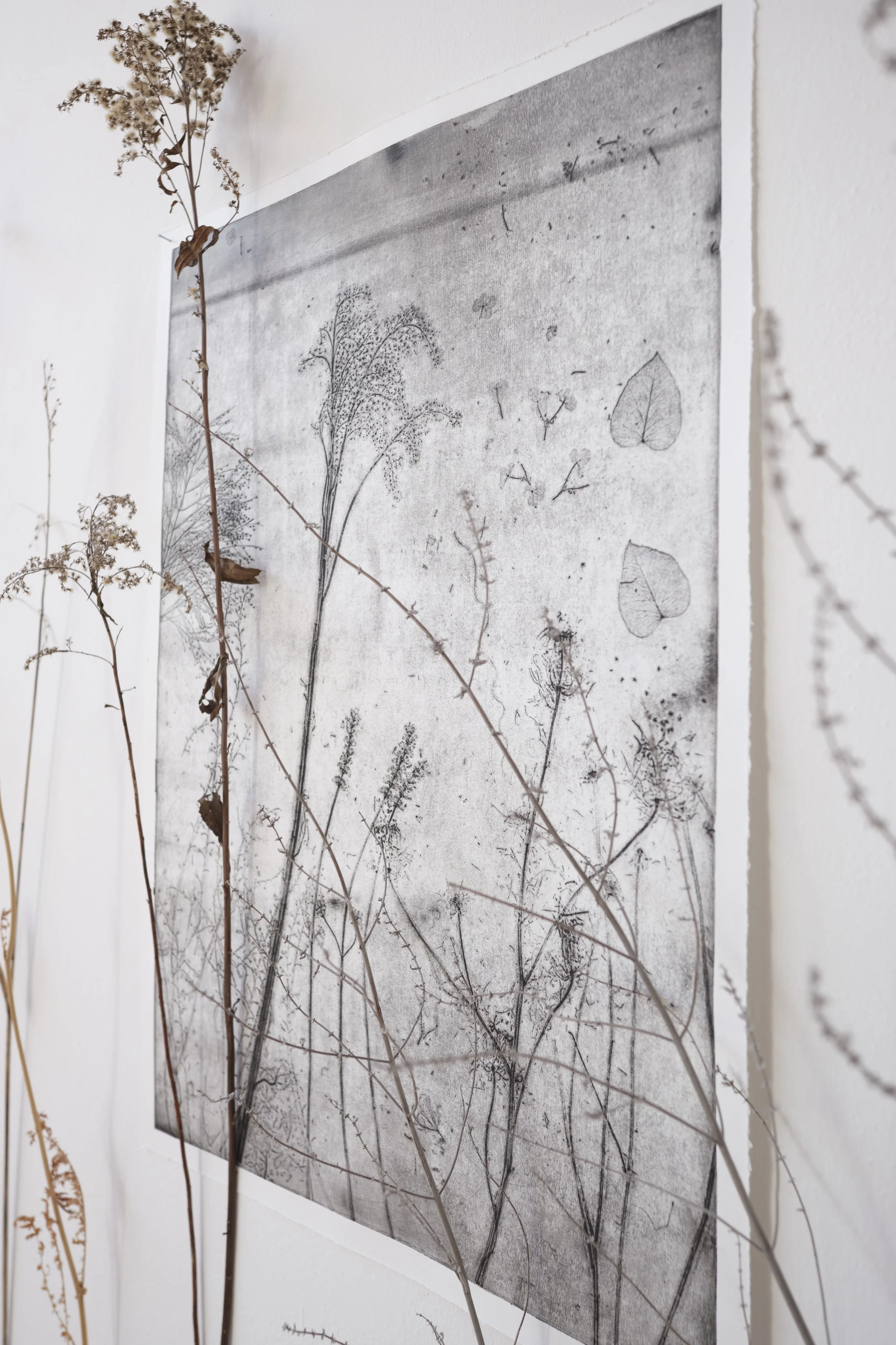 KOMOREBI_mostra 15.jpg