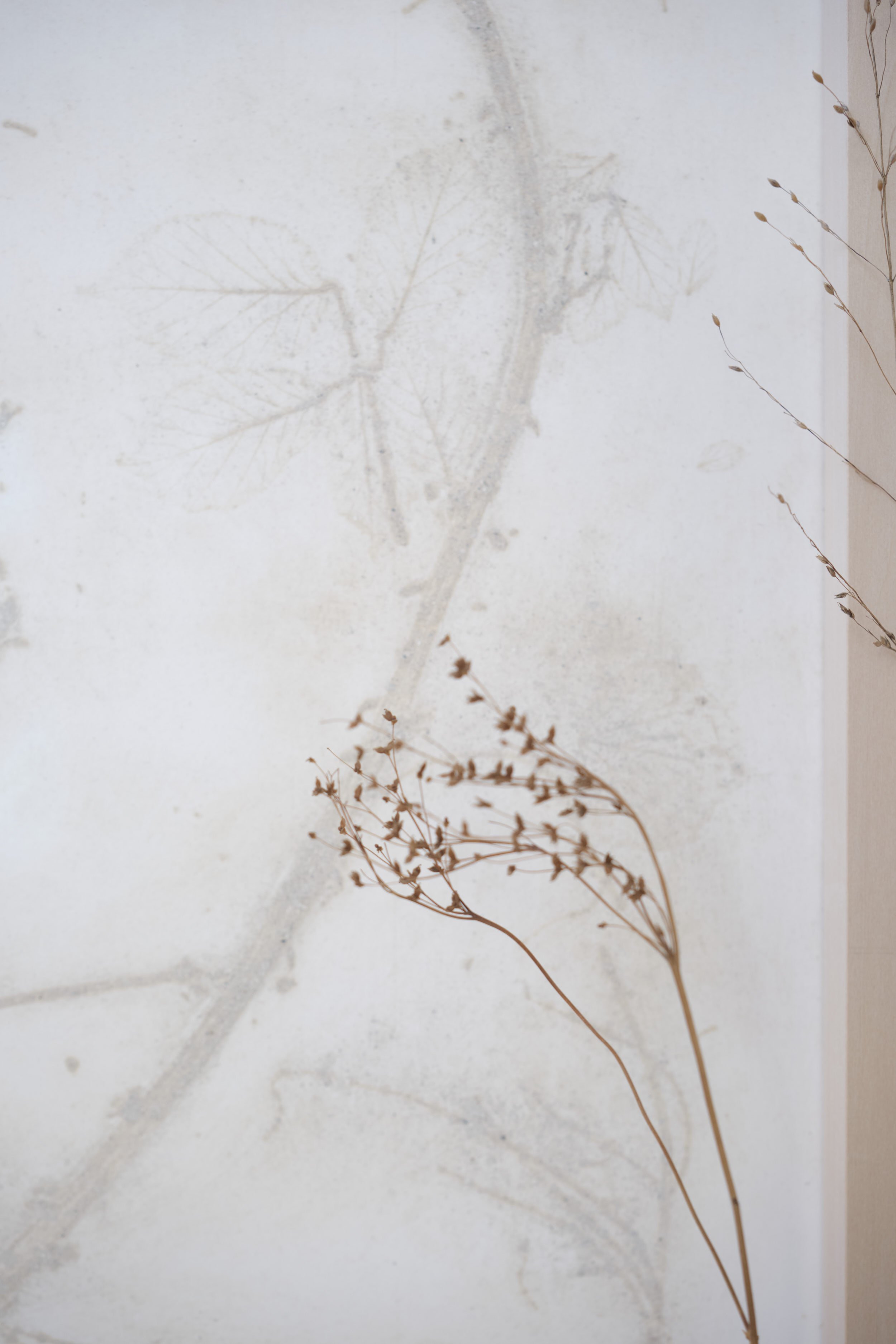 KOMOREBI_mostra 16.jpg