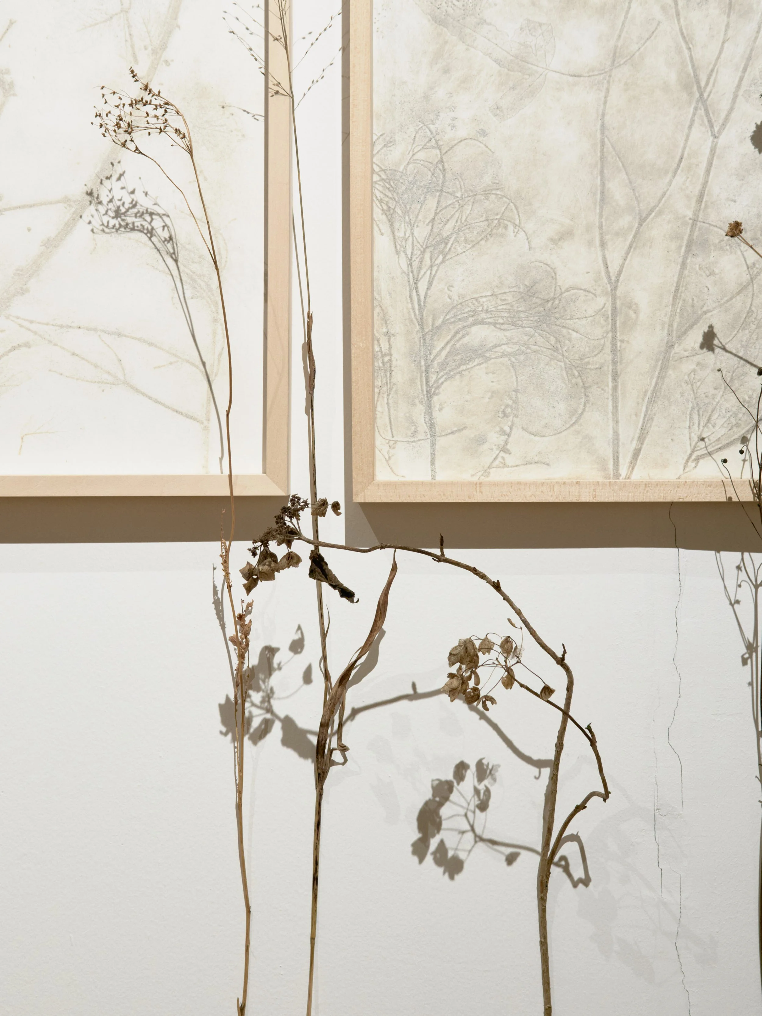 KOMOREBI_mostra 19.jpg