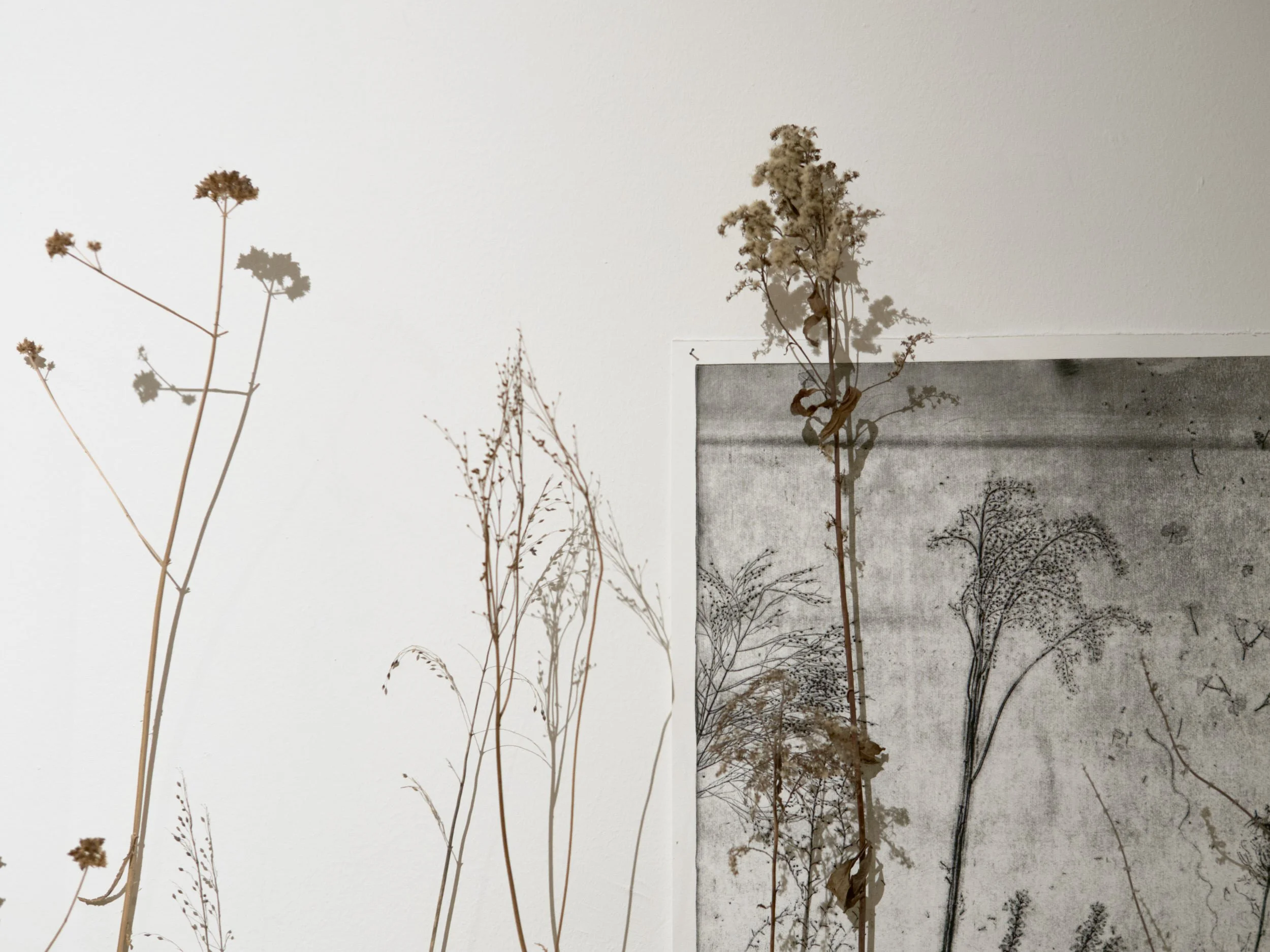 KOMOREBI_mostra 20.jpg