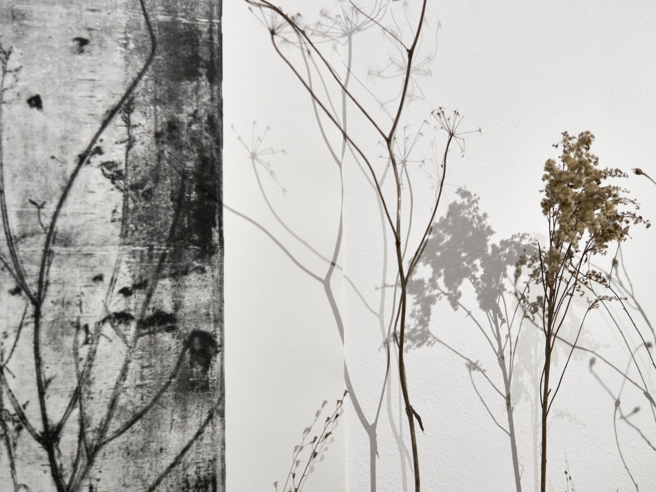 KOMOREBI_mostra 22.jpg