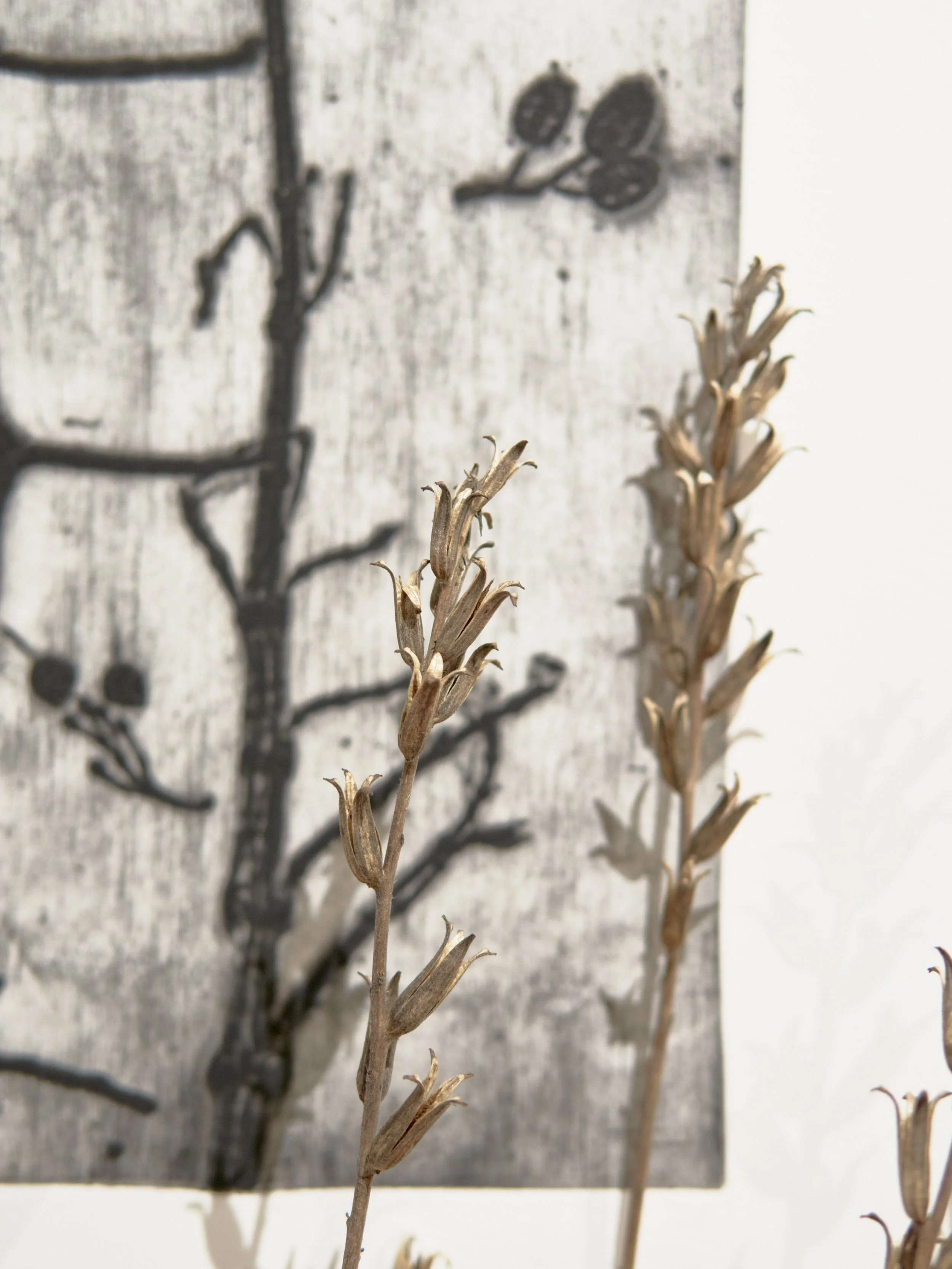 KOMOREBI_mostra 24.jpg