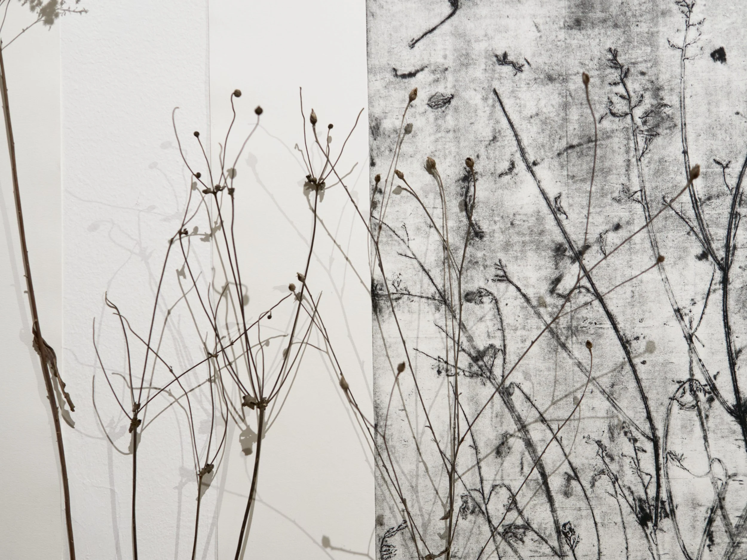 KOMOREBI_mostra 25.jpg