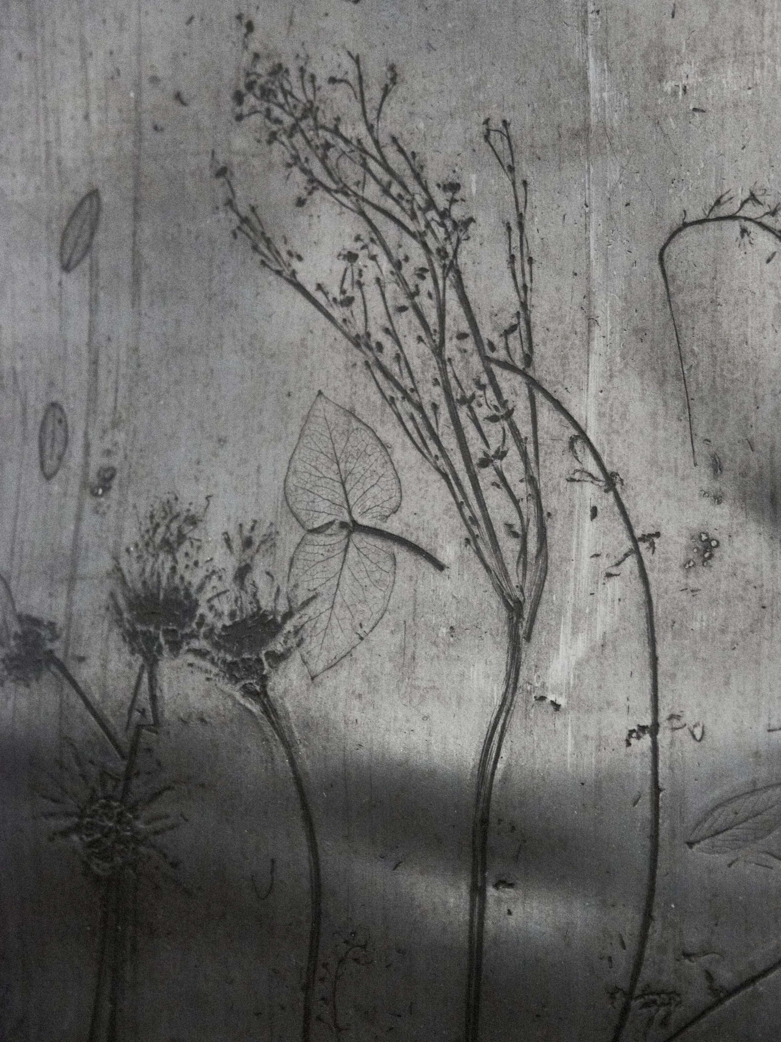 KOMOREBI_mostra 33.jpg