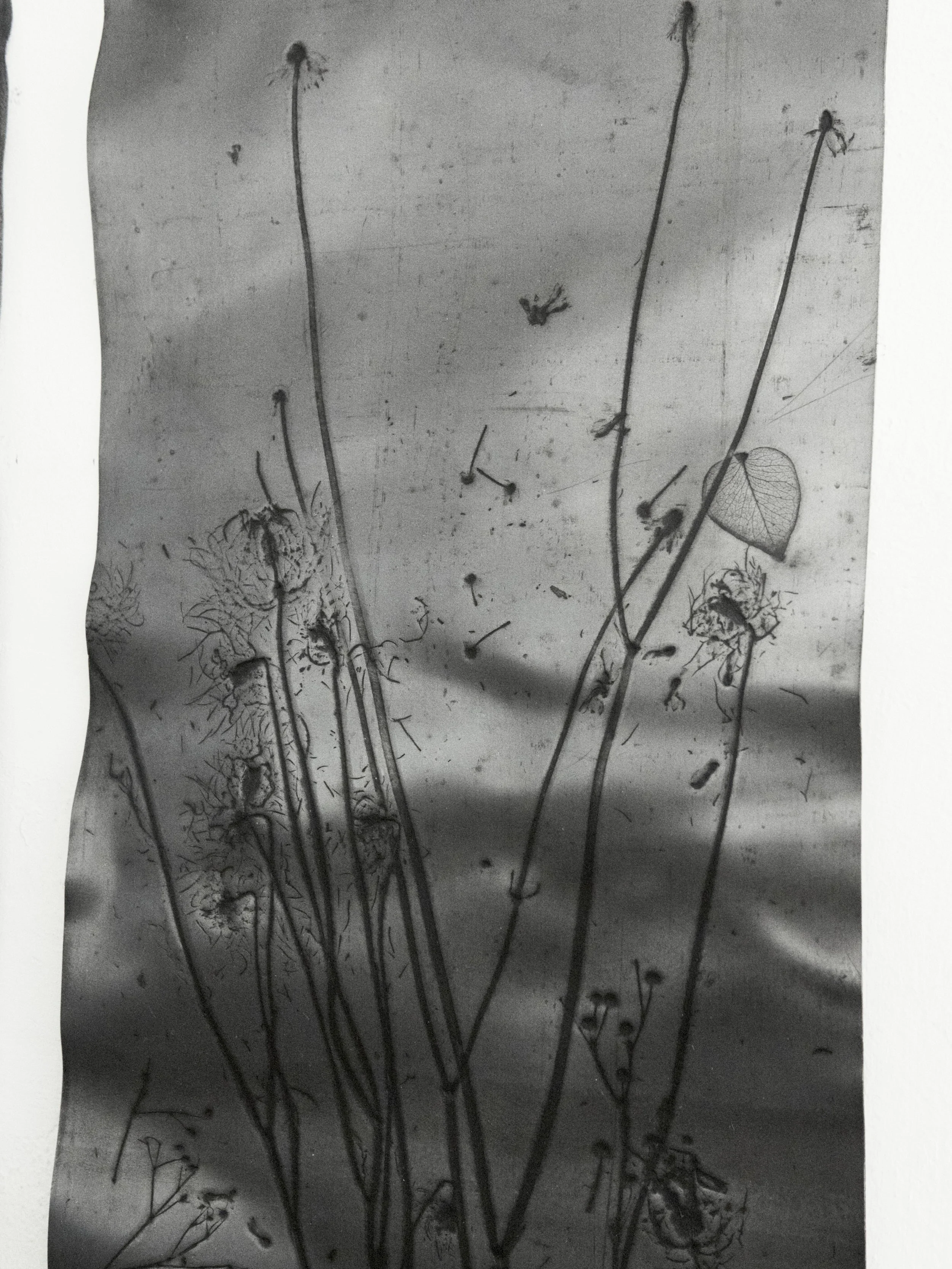 KOMOREBI_mostra 34.jpg