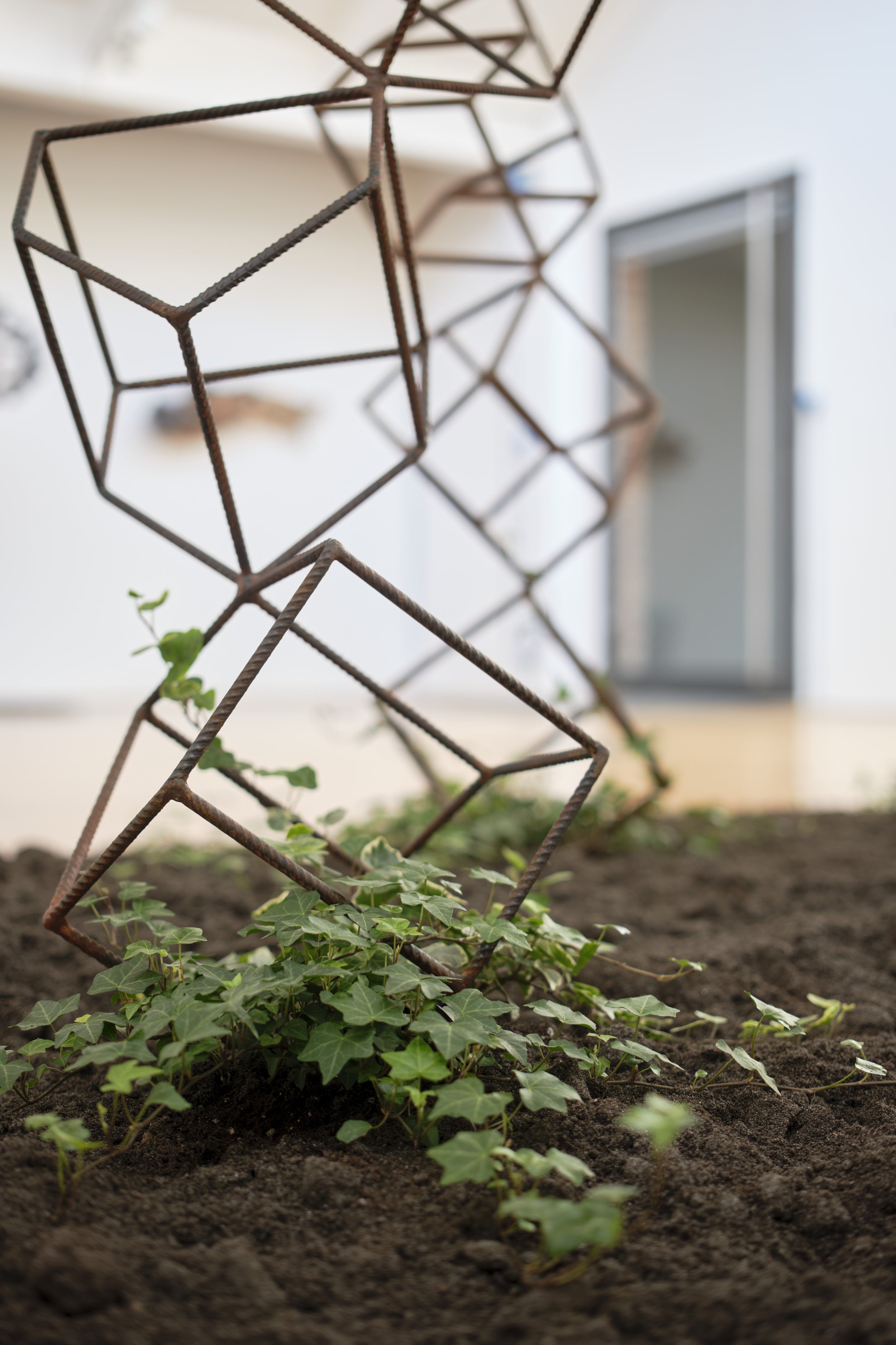 KOMOREBI_mostra 42.jpg