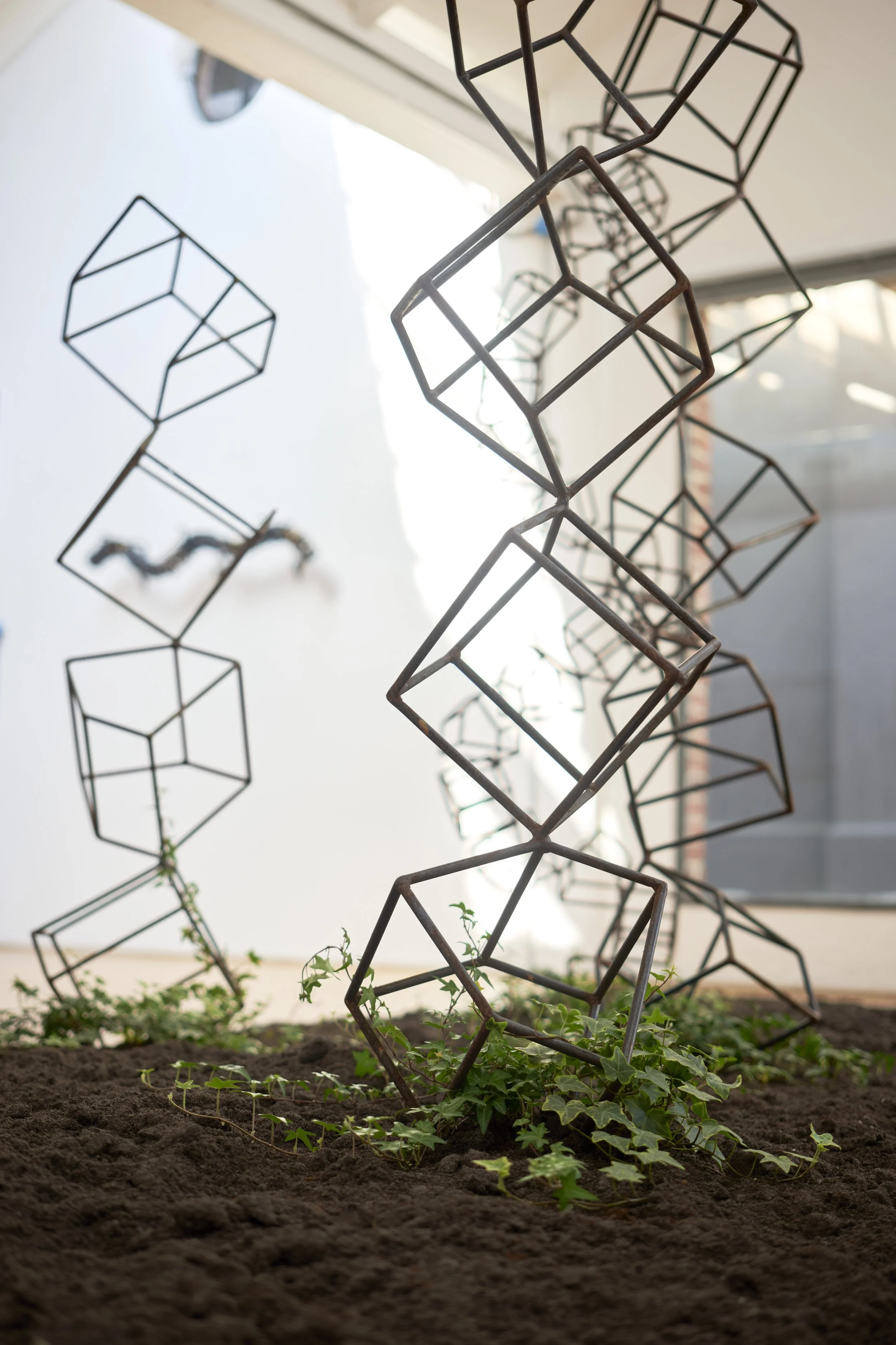 KOMOREBI_mostra 43.jpg