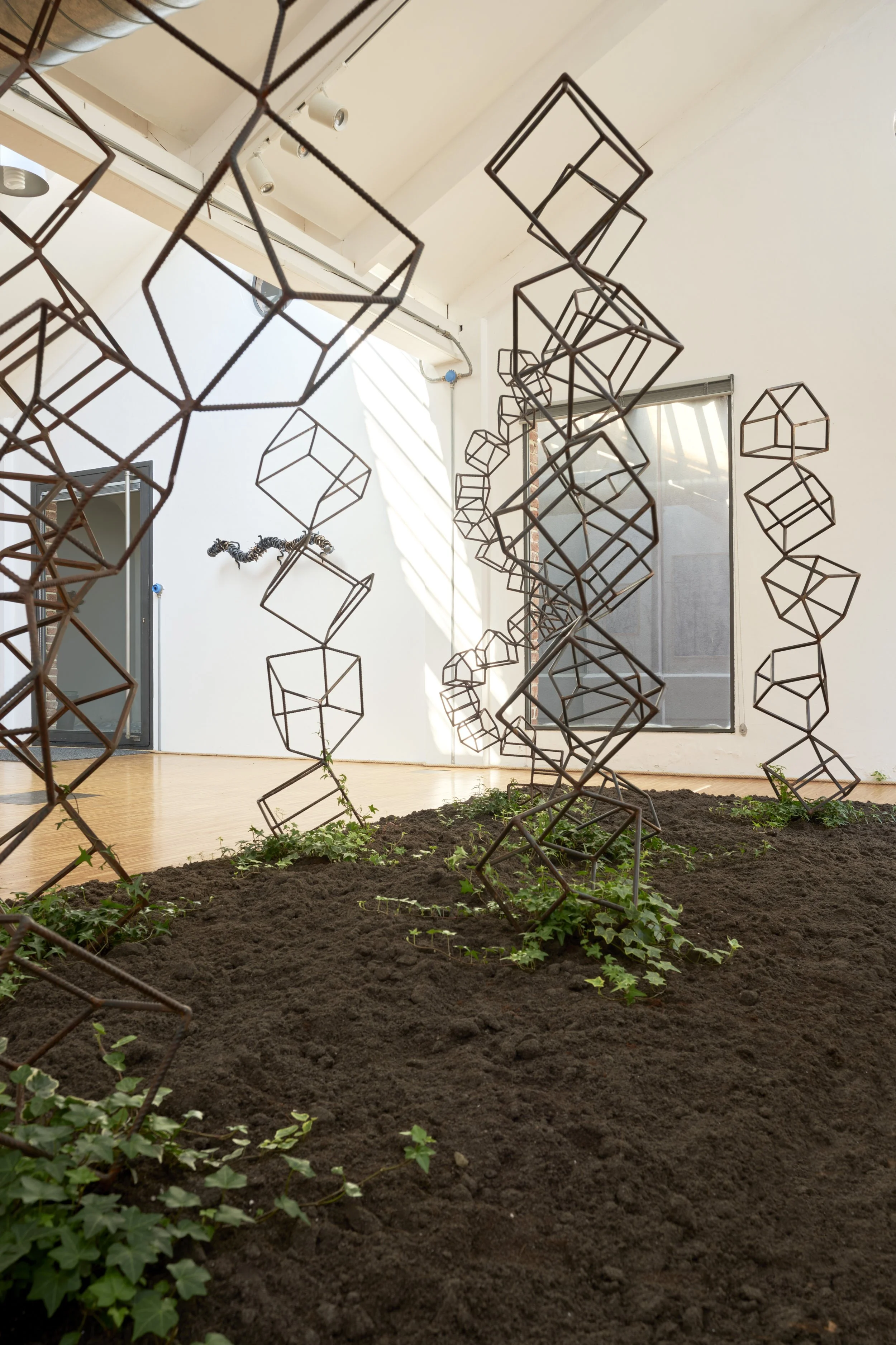 KOMOREBI_mostra 46.jpg