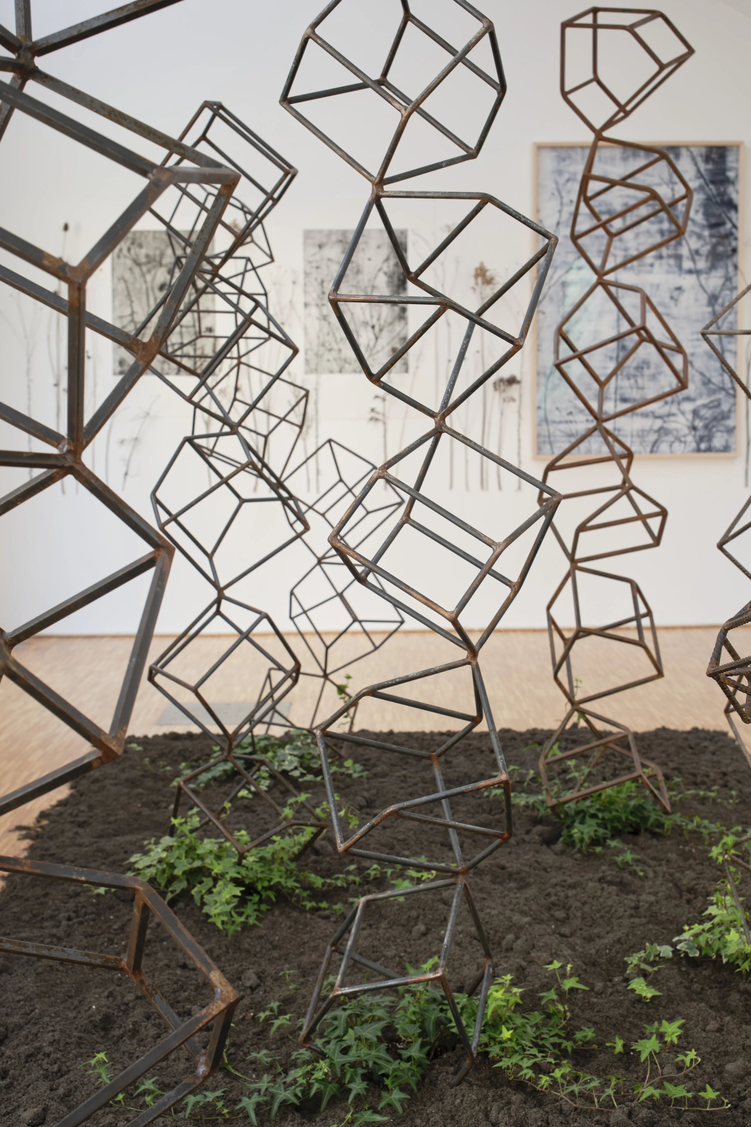 KOMOREBI_mostra 49.jpg