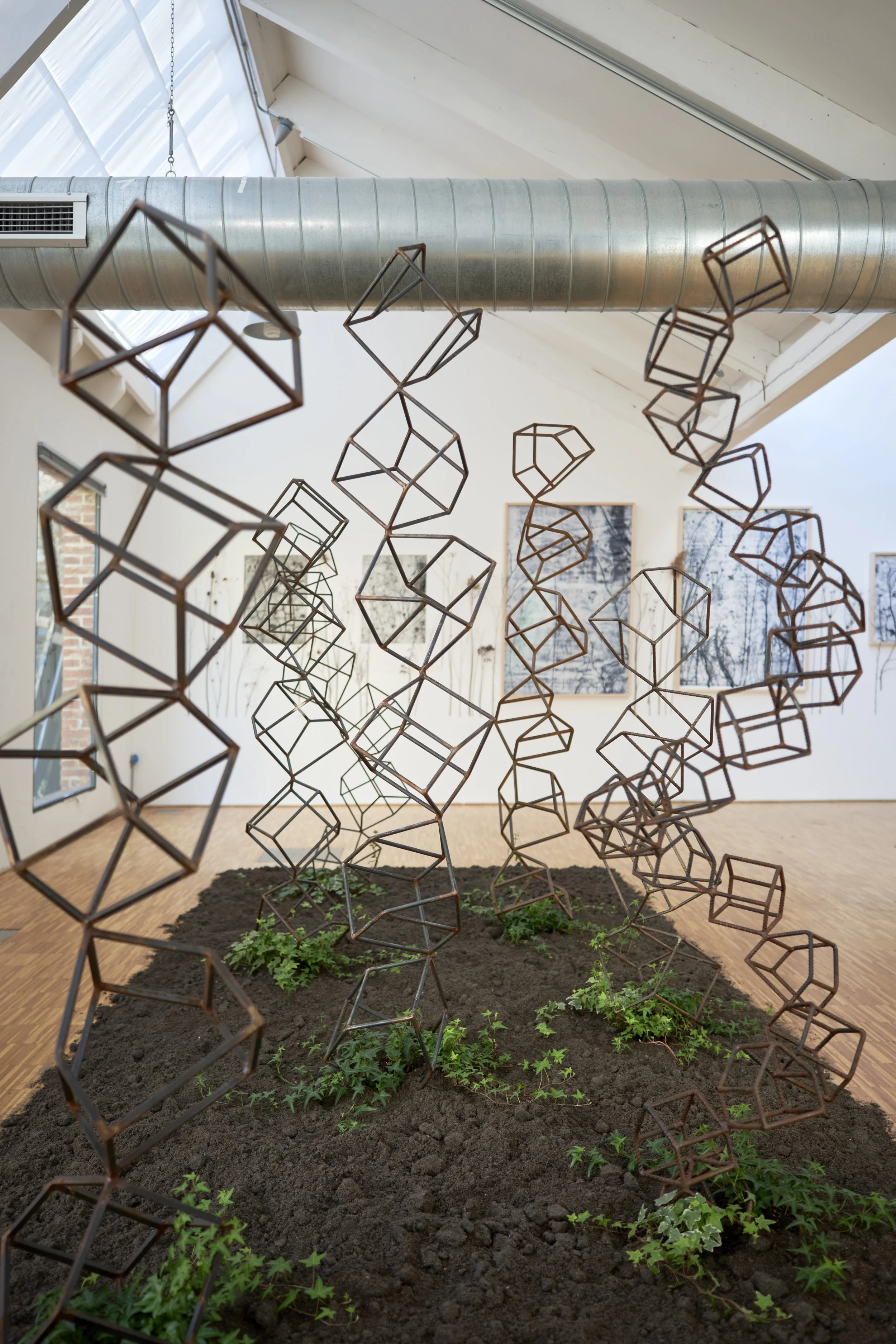 KOMOREBI_mostra 50.jpg