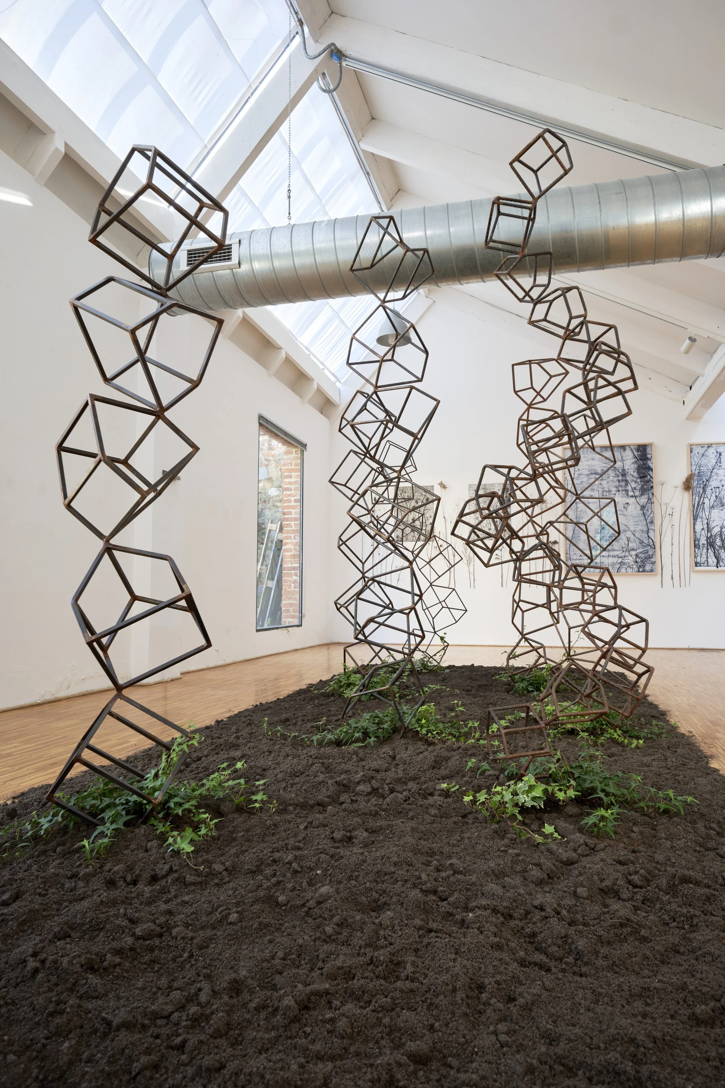 KOMOREBI_mostra 51.jpg