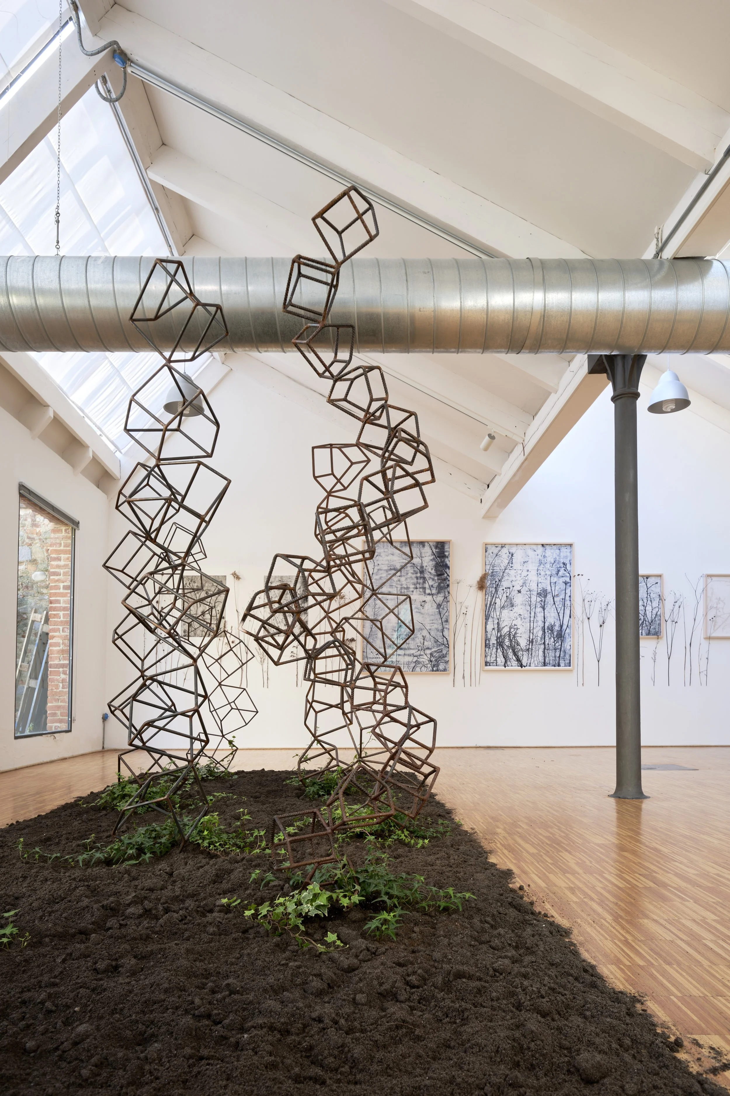 KOMOREBI_mostra 52.jpg